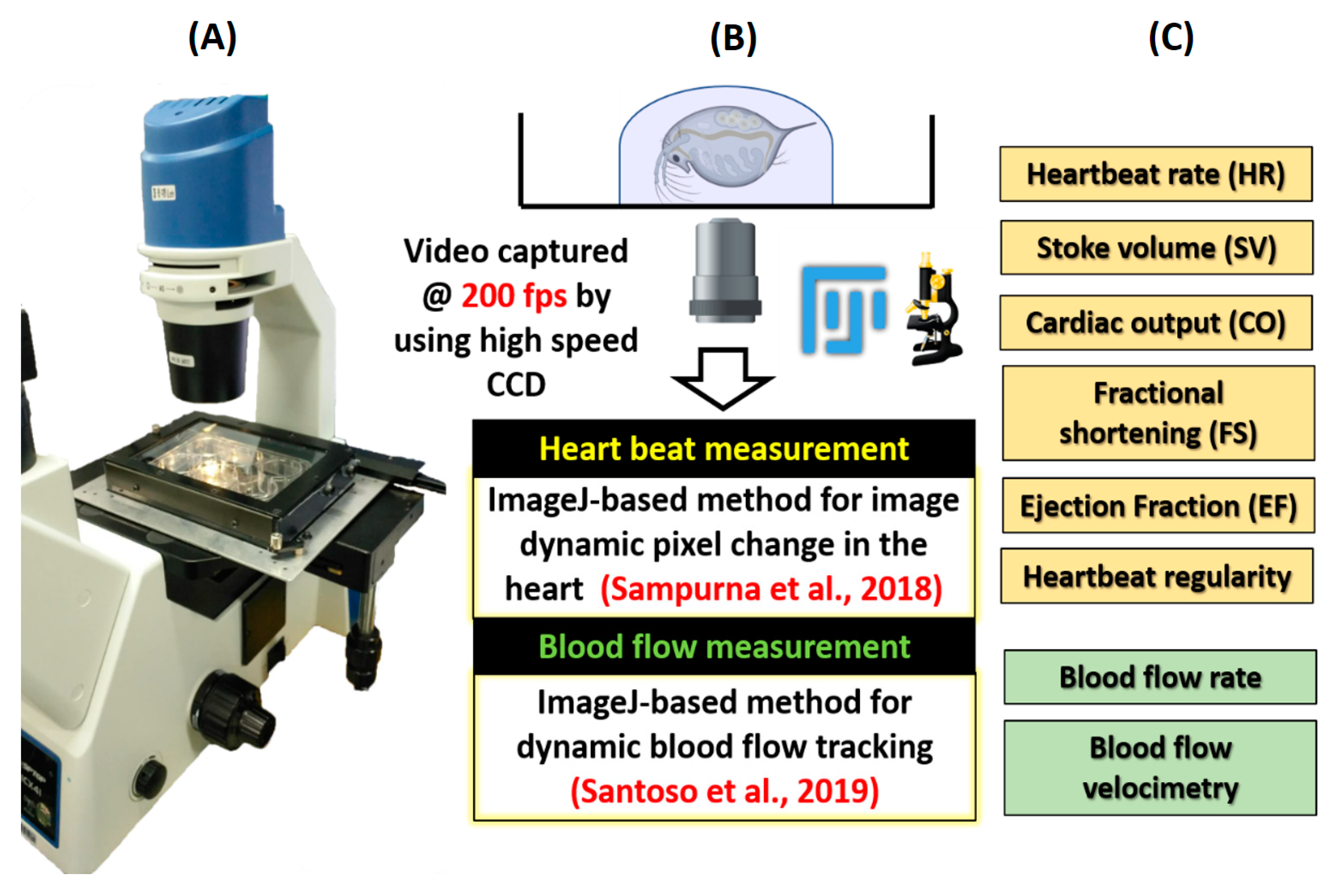 Animals 10 01587 g0a1 Animals 10 01587 g0a1