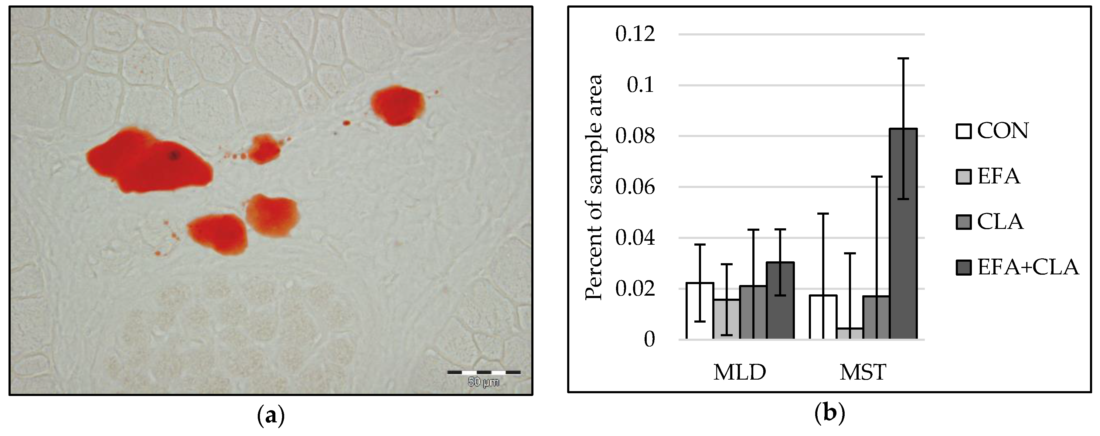 Animals 10 01598 g005