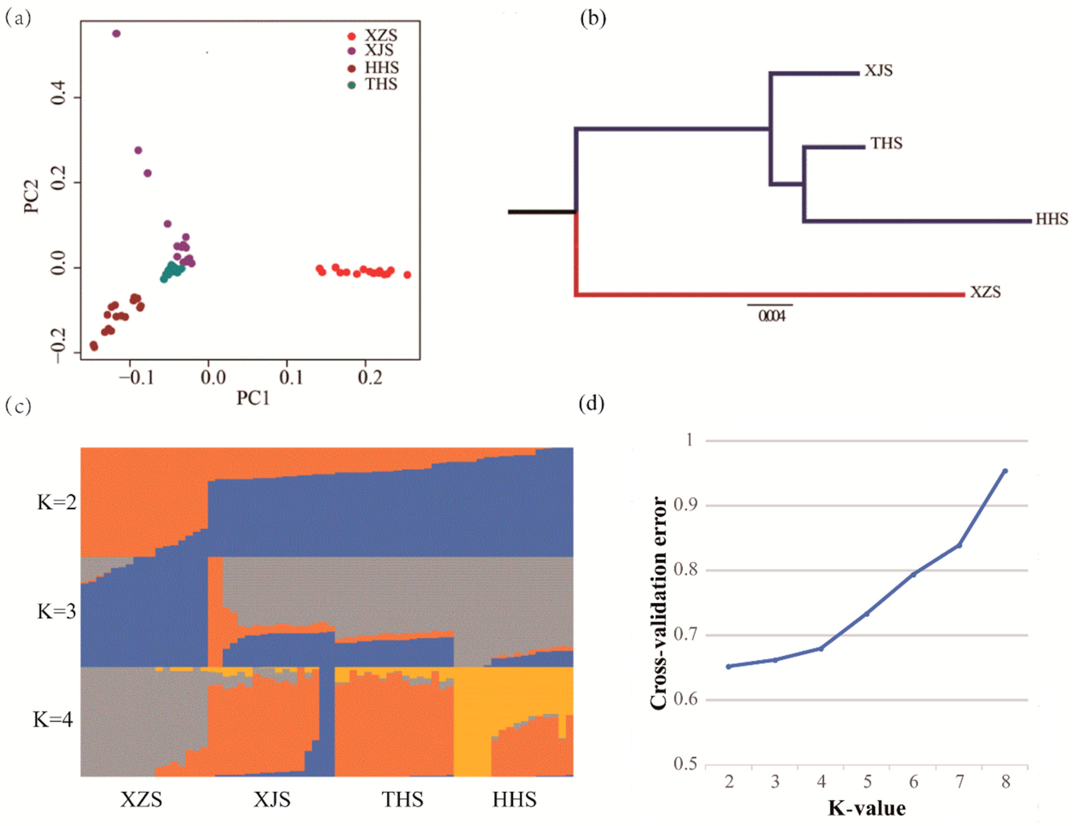 Animals 10 01599 g001