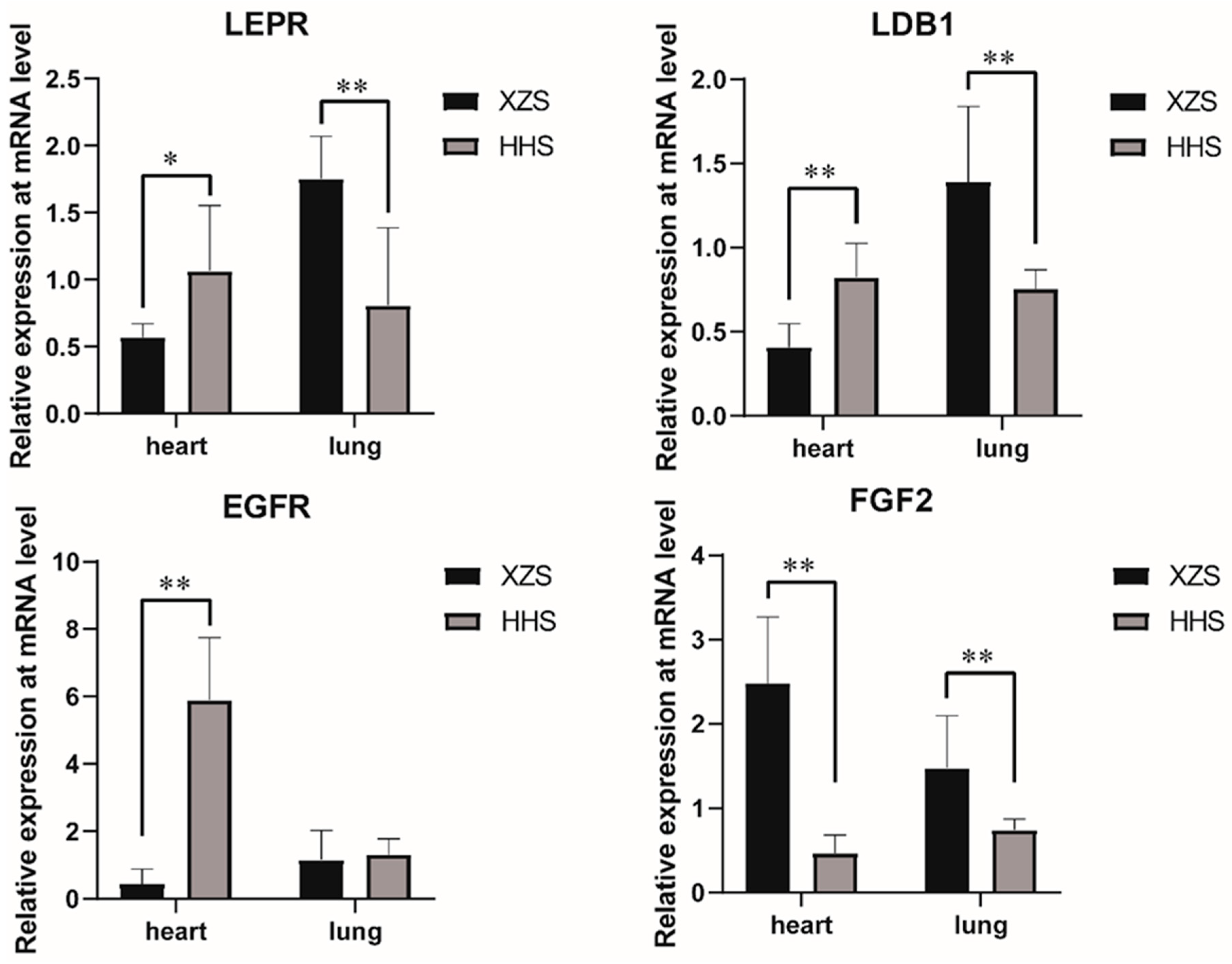 Animals 10 01599 g004