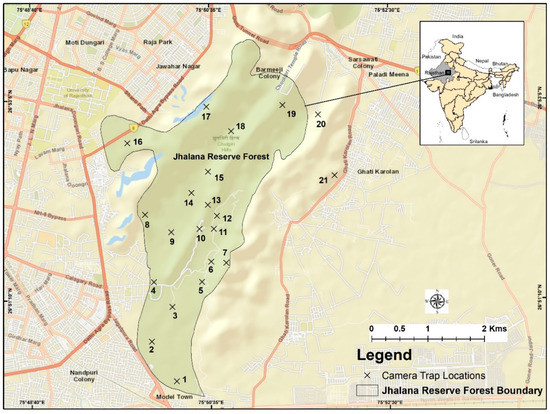 Animals Free Full Text A Camera Trap Home Range Analysis Of The Indian Leopard Panthera Pardus Fusca In Jaipur India Html Animals Free Full Text A Camera Trap Home Range Analysis Of The Indian Leopard Panthera Pardus Fusca In Jaipur India Html