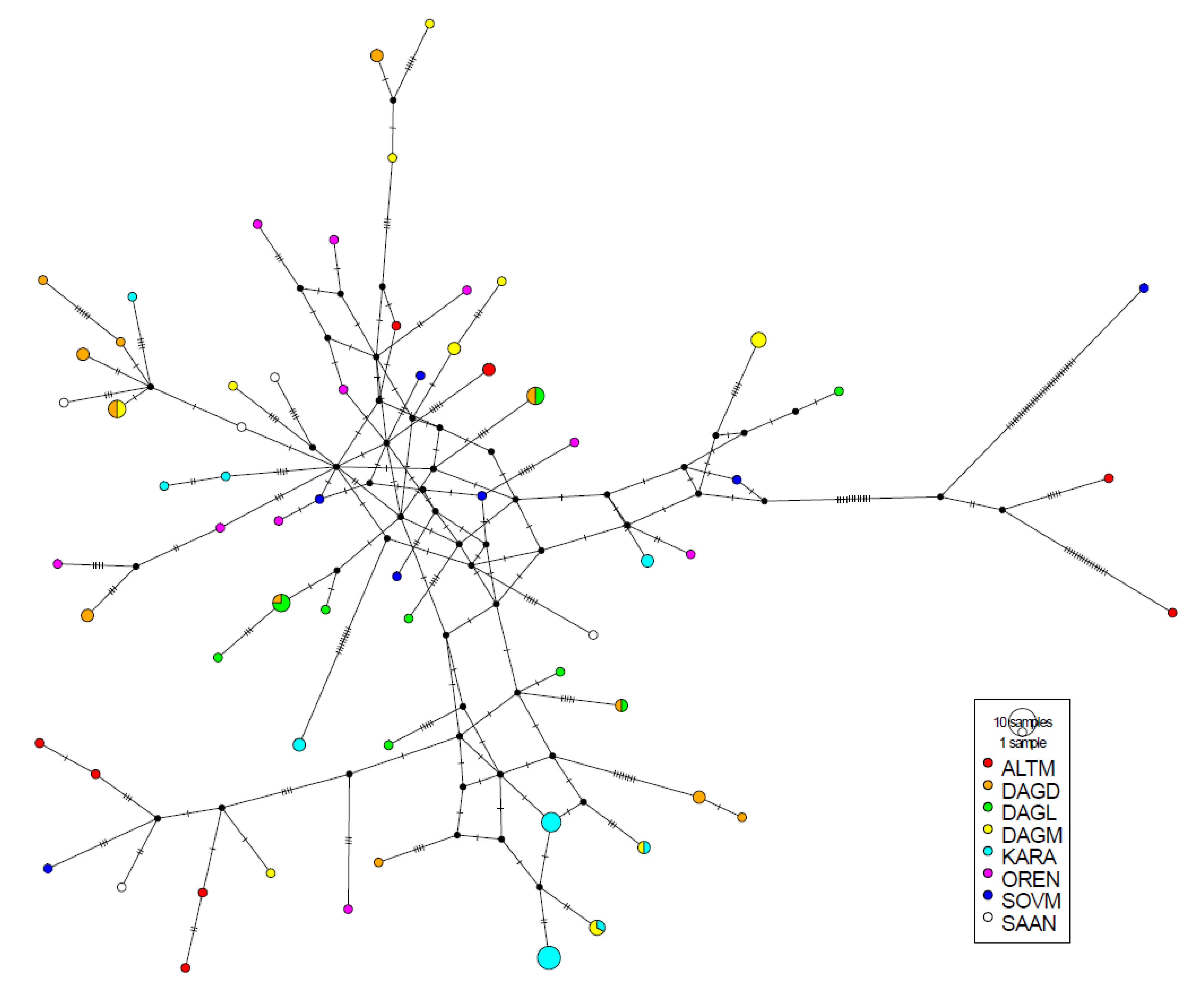 Animals 10 01603 g002