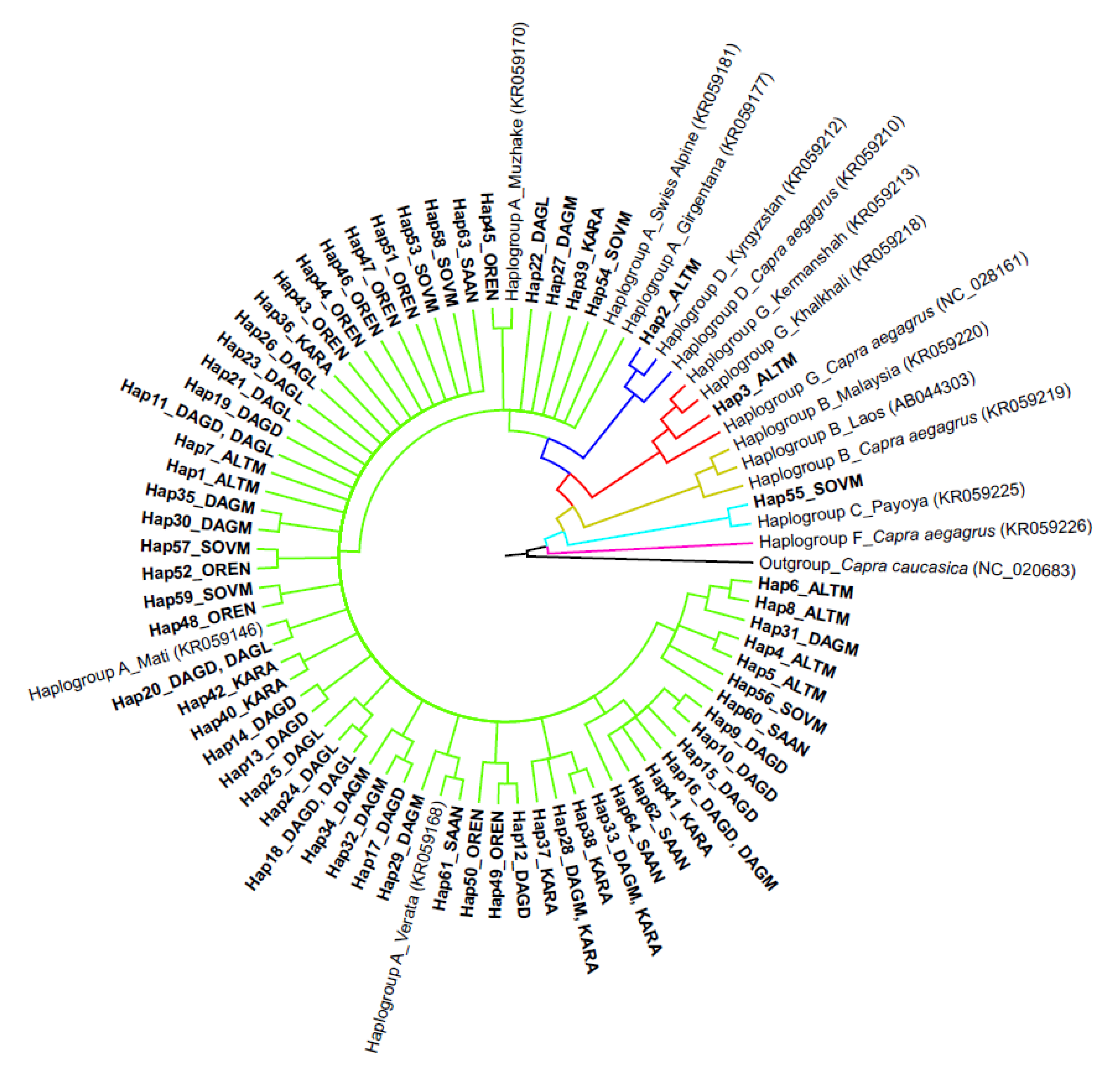 Animals 10 01603 g003