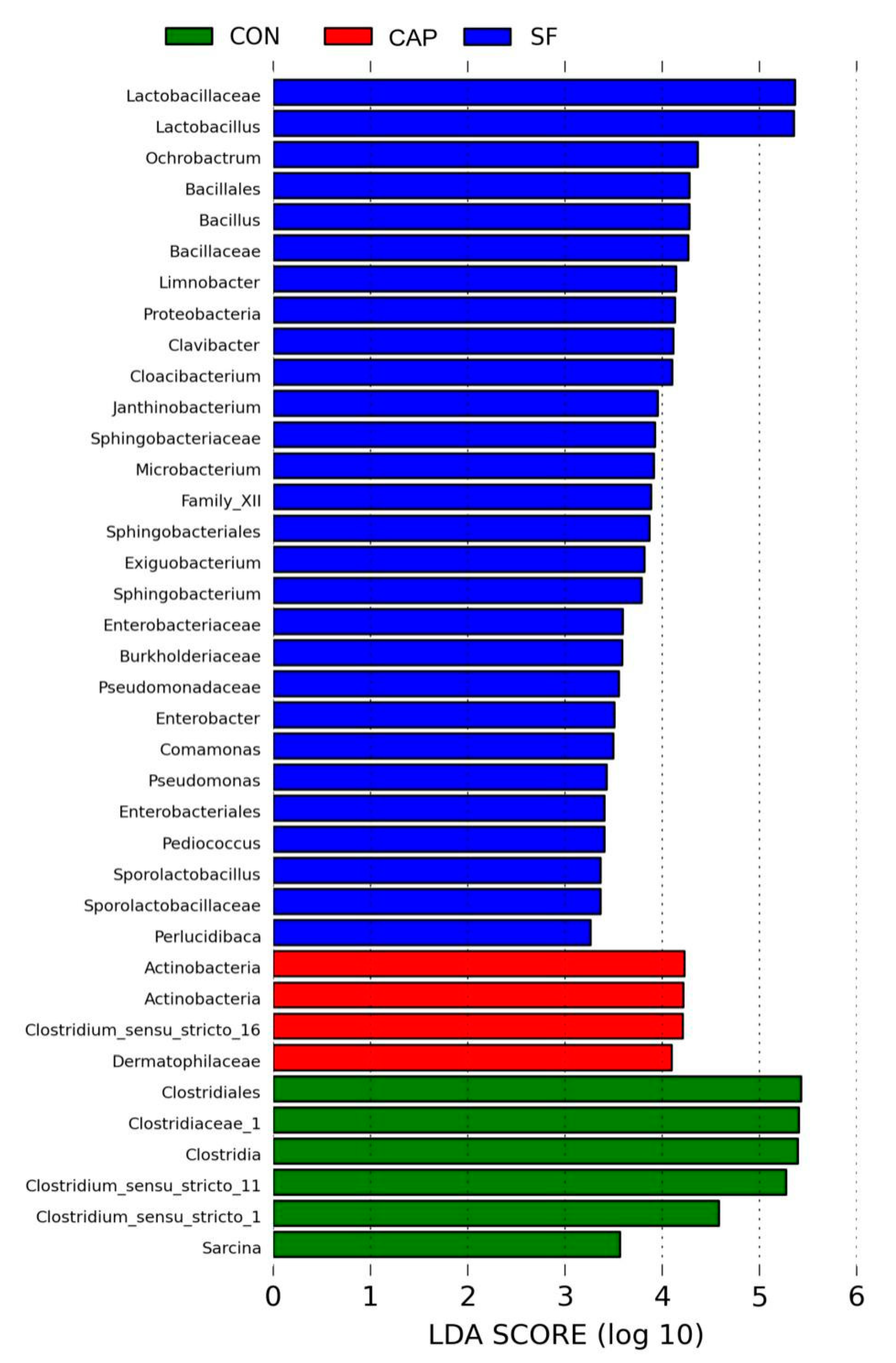 Animals 10 01608 g003 Animals 10 01608 g003