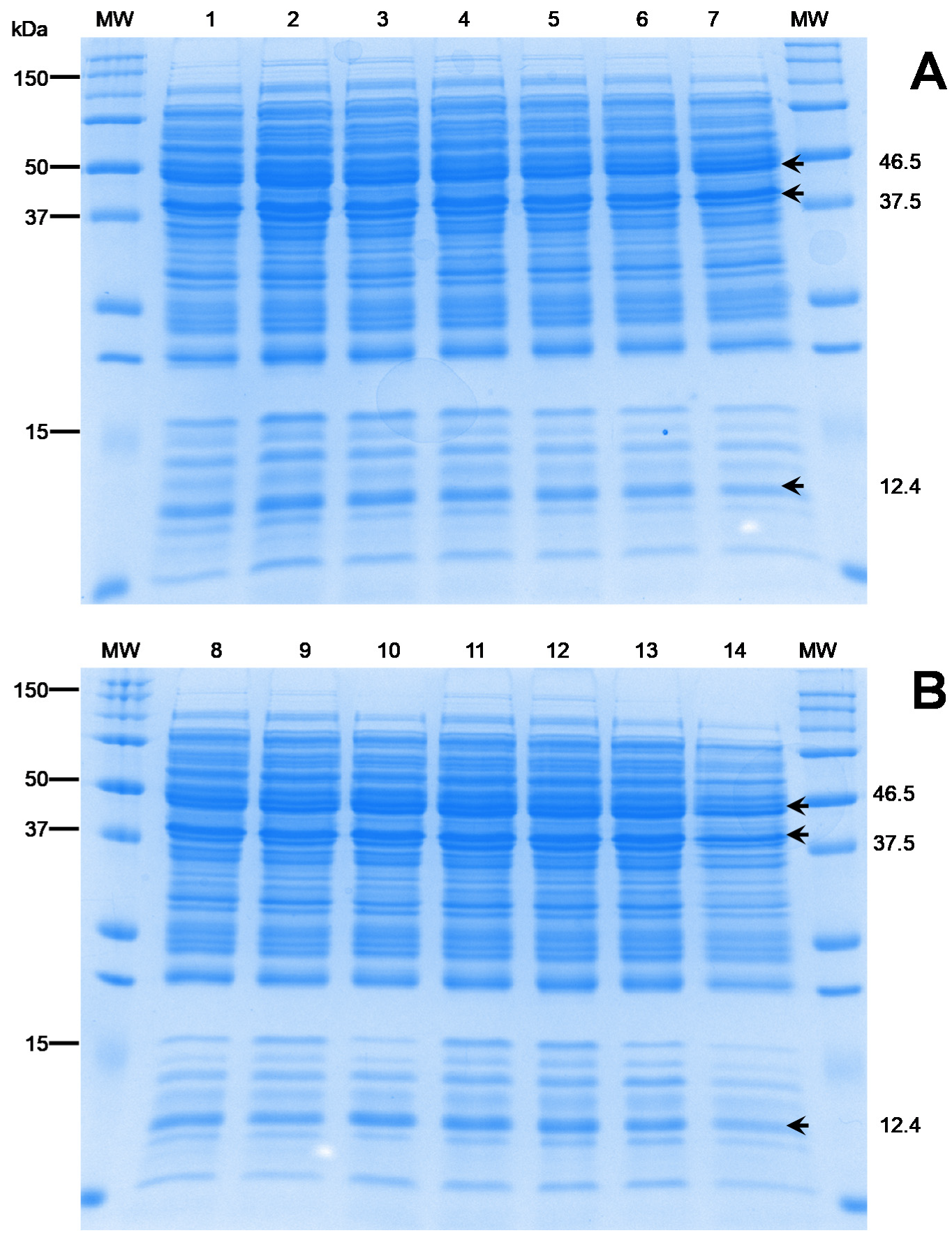 Animals 10 01609 g005 Animals 10 01609 g005