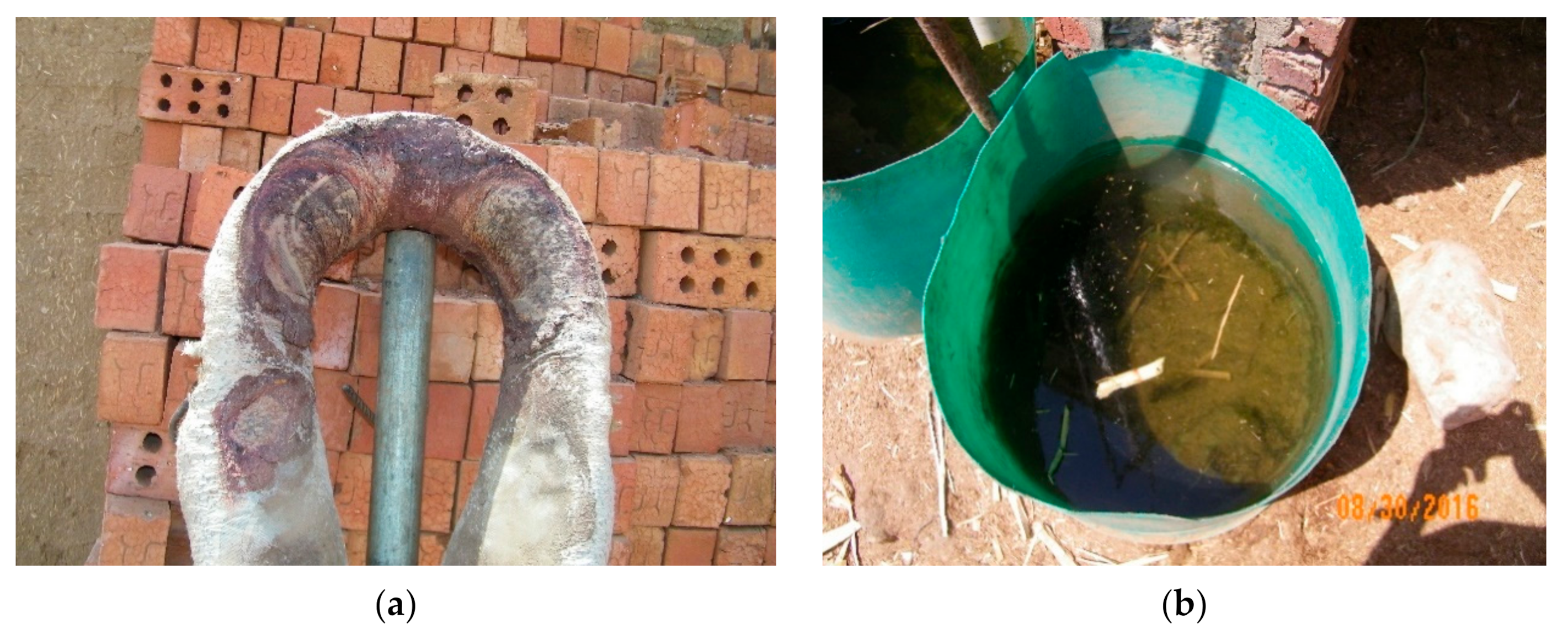 Animals 10 01611 g004