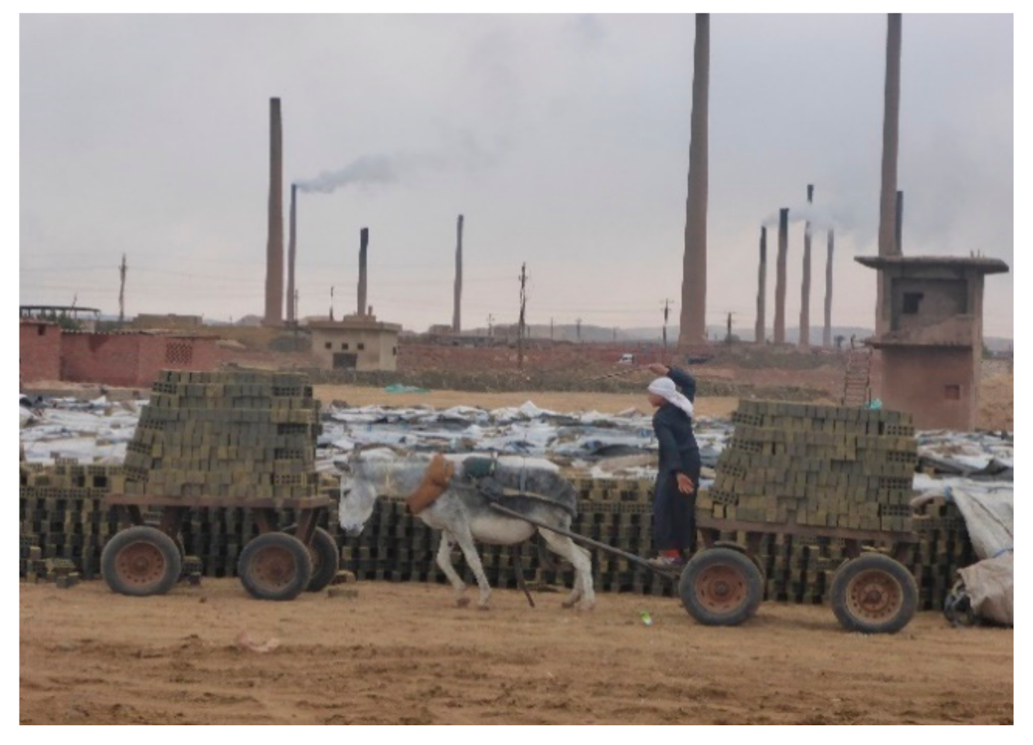 Animals 10 01611 g005