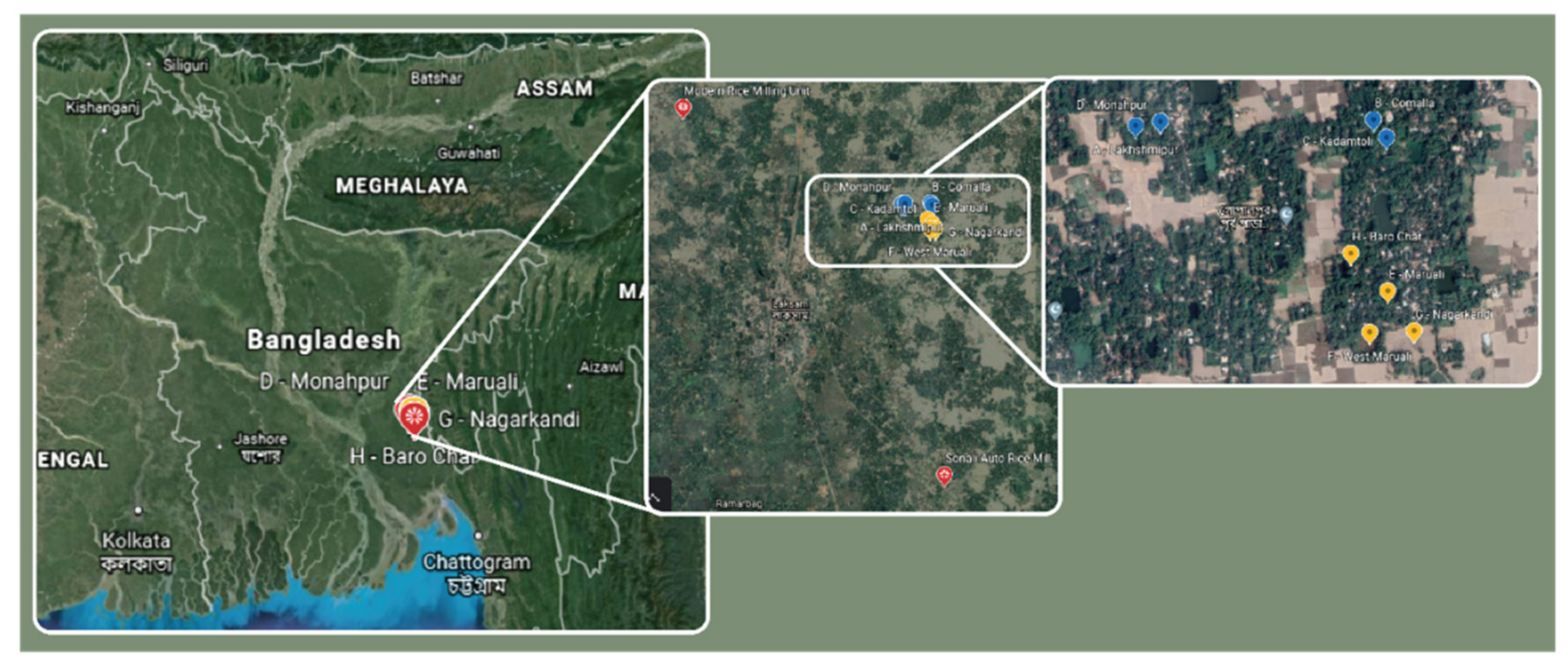 Animals 10 01612 g001 Animals 10 01612 g001