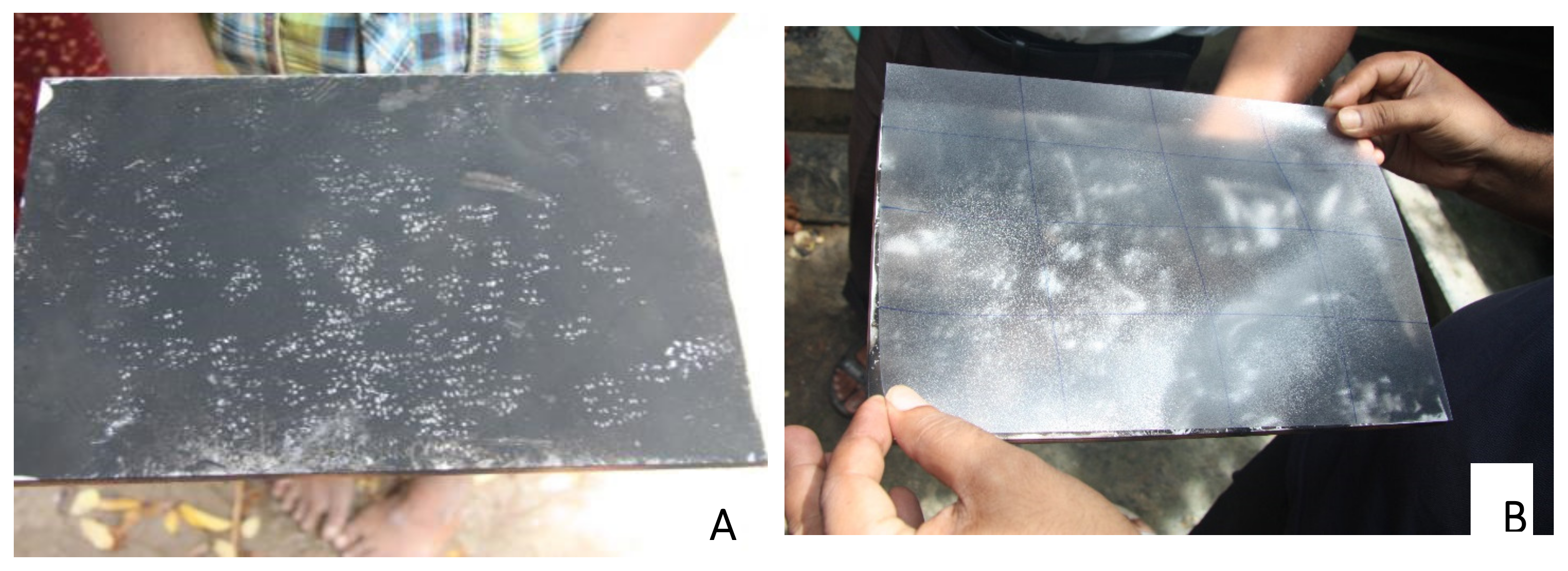 Animals 10 01612 g004 Animals 10 01612 g004