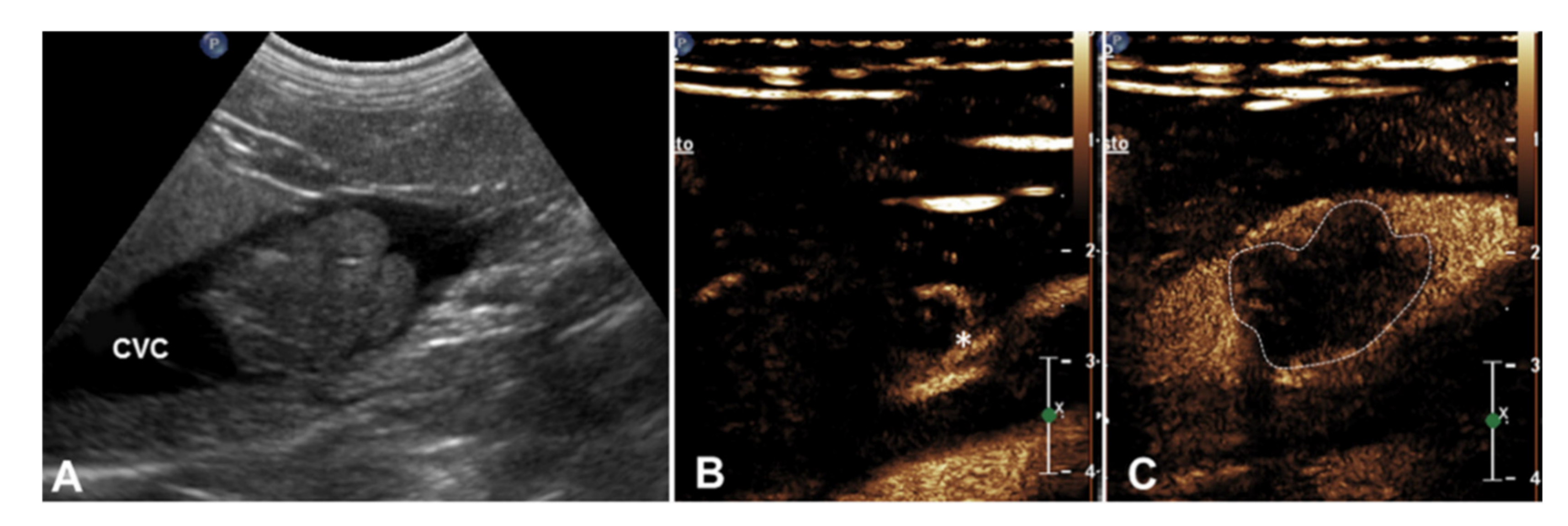 Animals 10 01613 g001 Animals 10 01613 g001