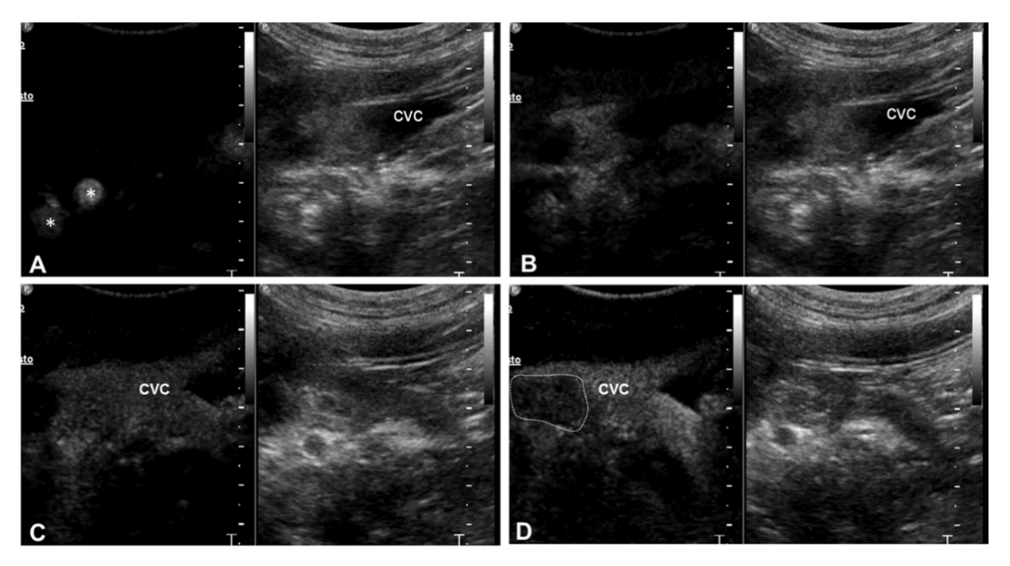 Animals 10 01613 g002 Animals 10 01613 g002