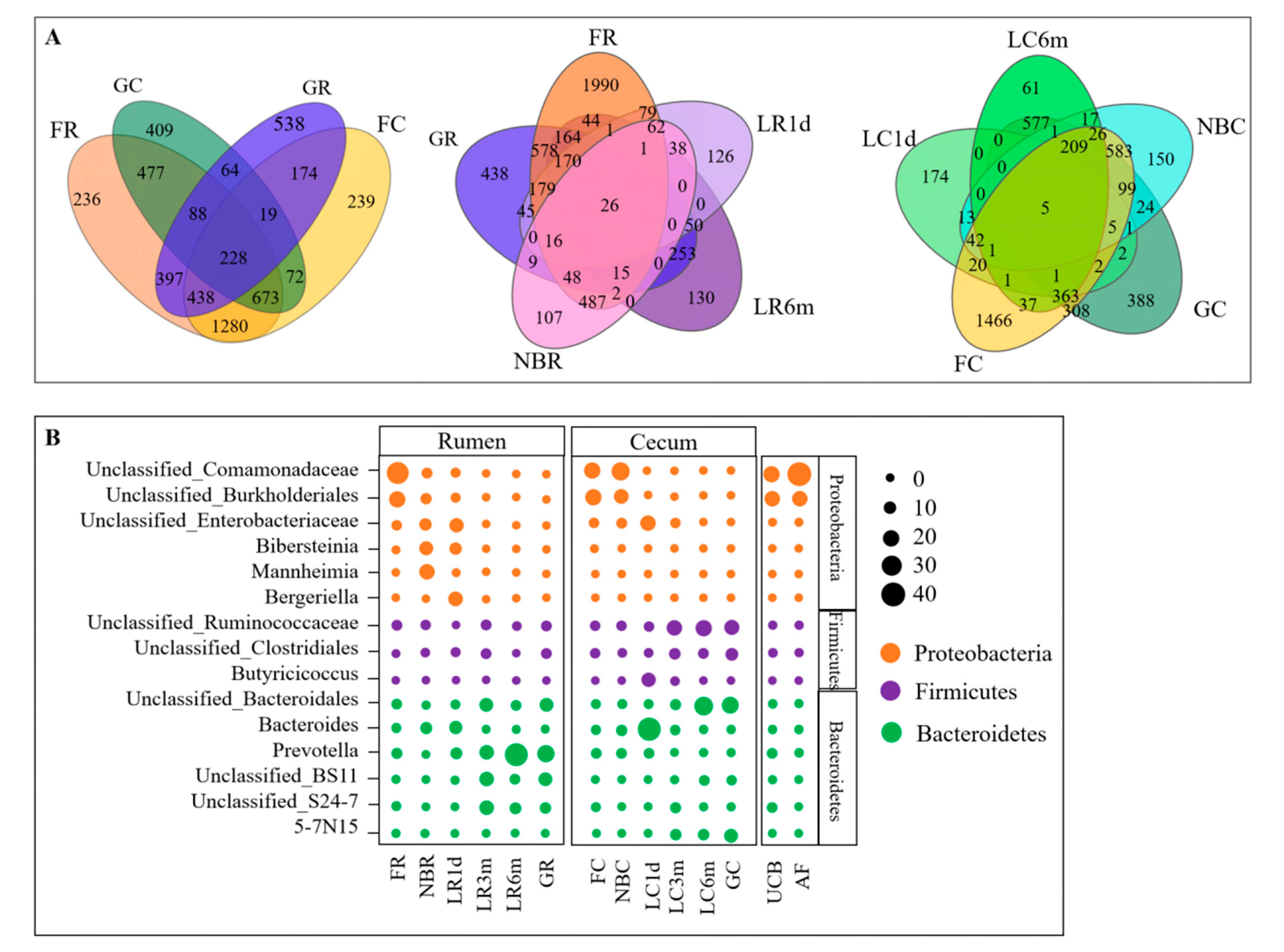 Animals 10 01639 g006 Animals 10 01639 g006