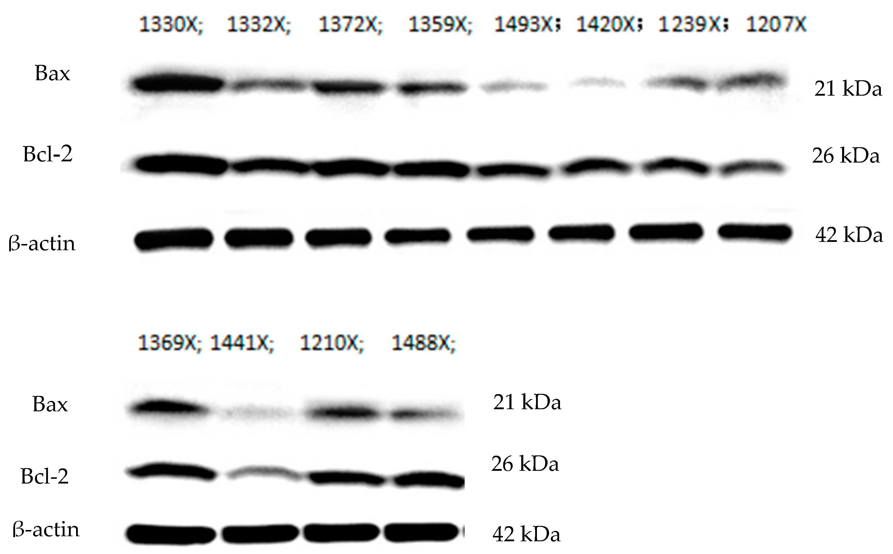 Animals 10 01642 g002 Animals 10 01642 g002