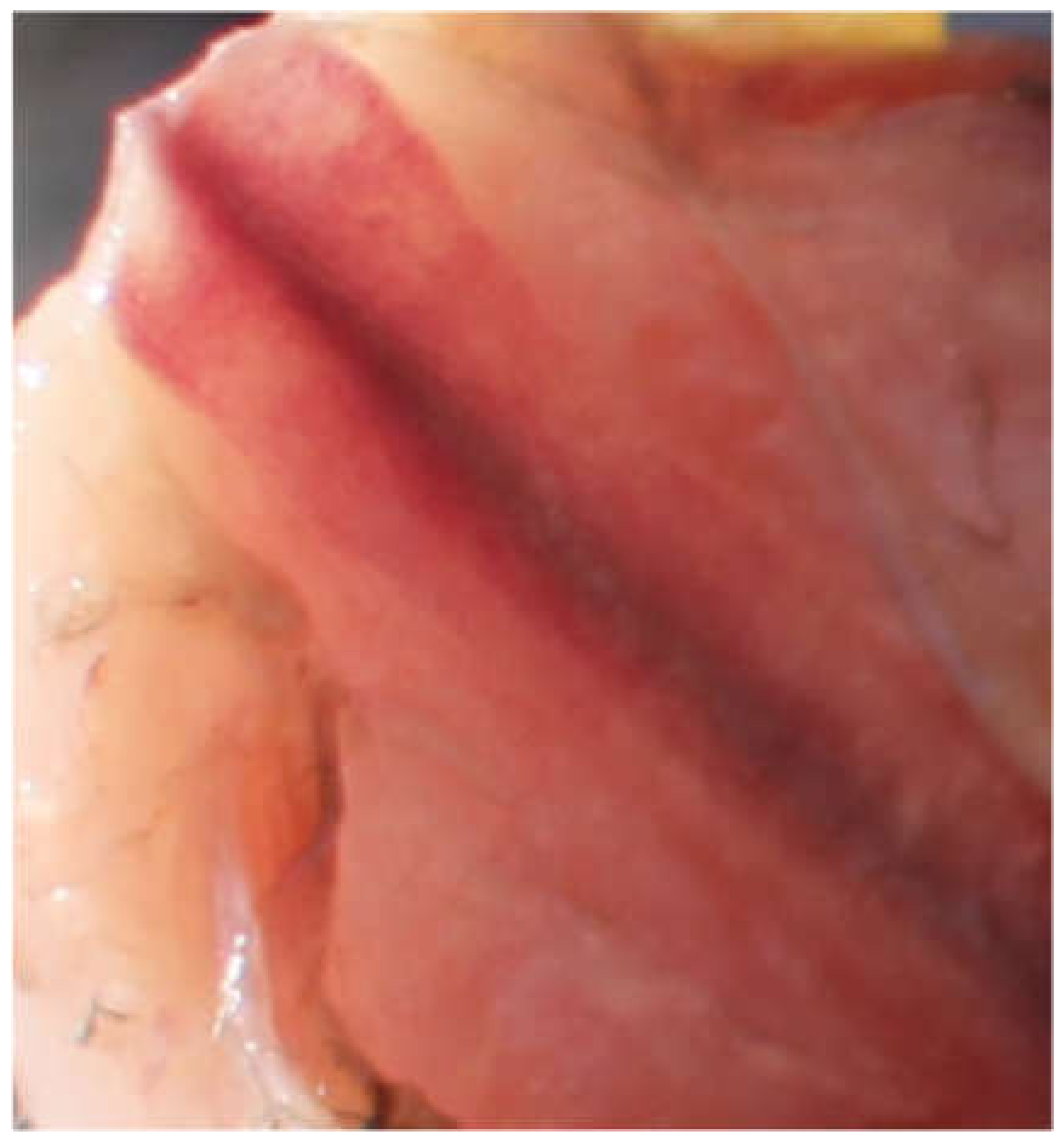 Animals 10 01655 g002 Animals 10 01655 g002