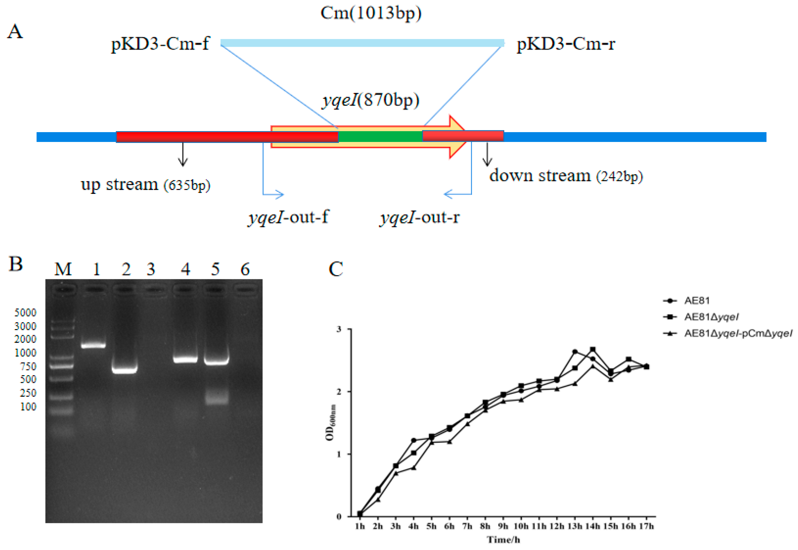 Animals 10 01658 g001 Animals 10 01658 g001