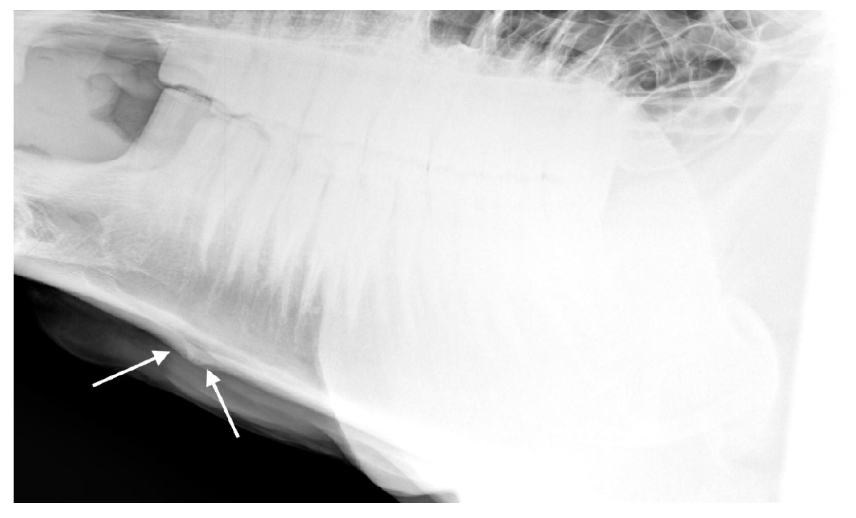 Animals 10 01661 g009