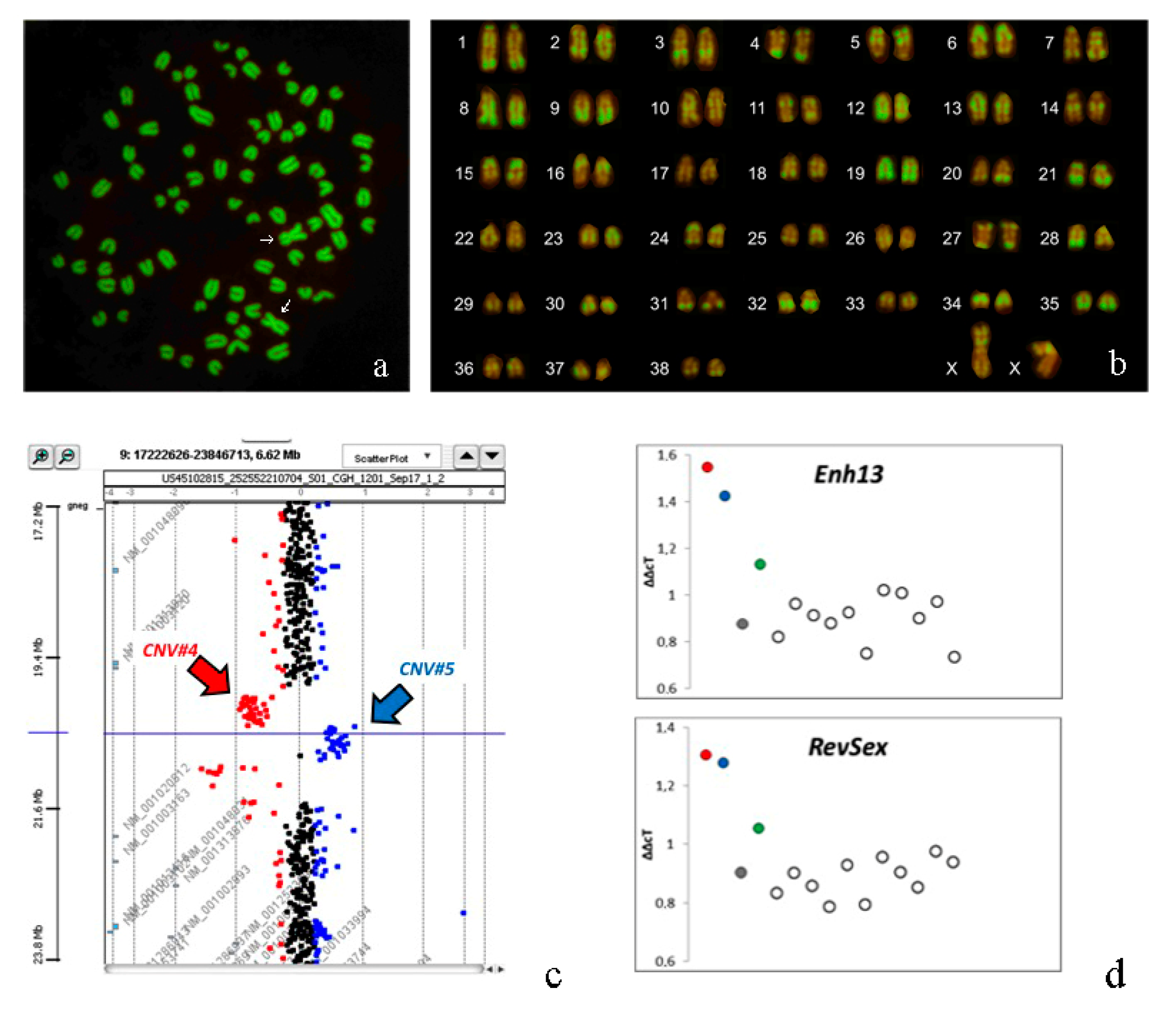 Animals 10 01667 g005
