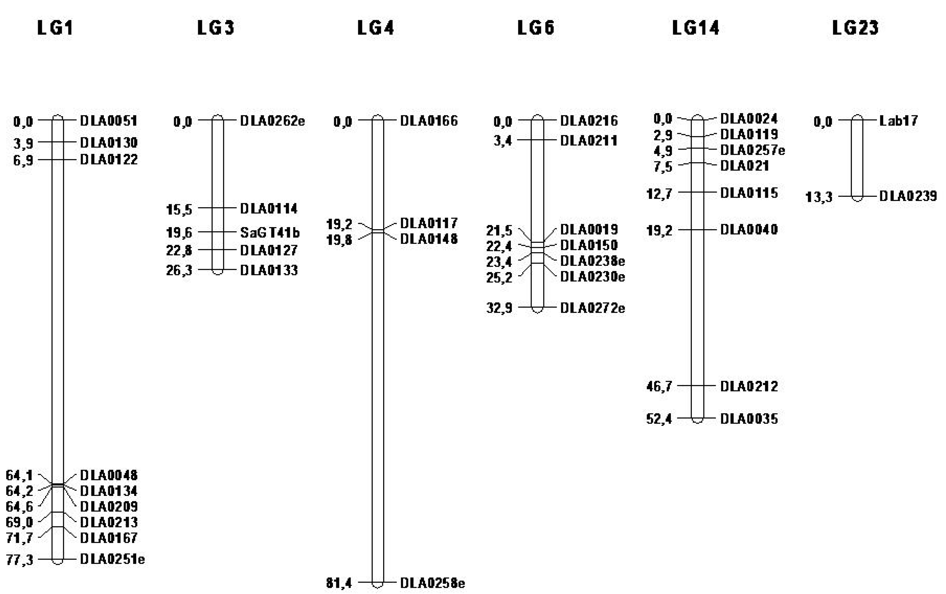 Animals 10 01668 g001