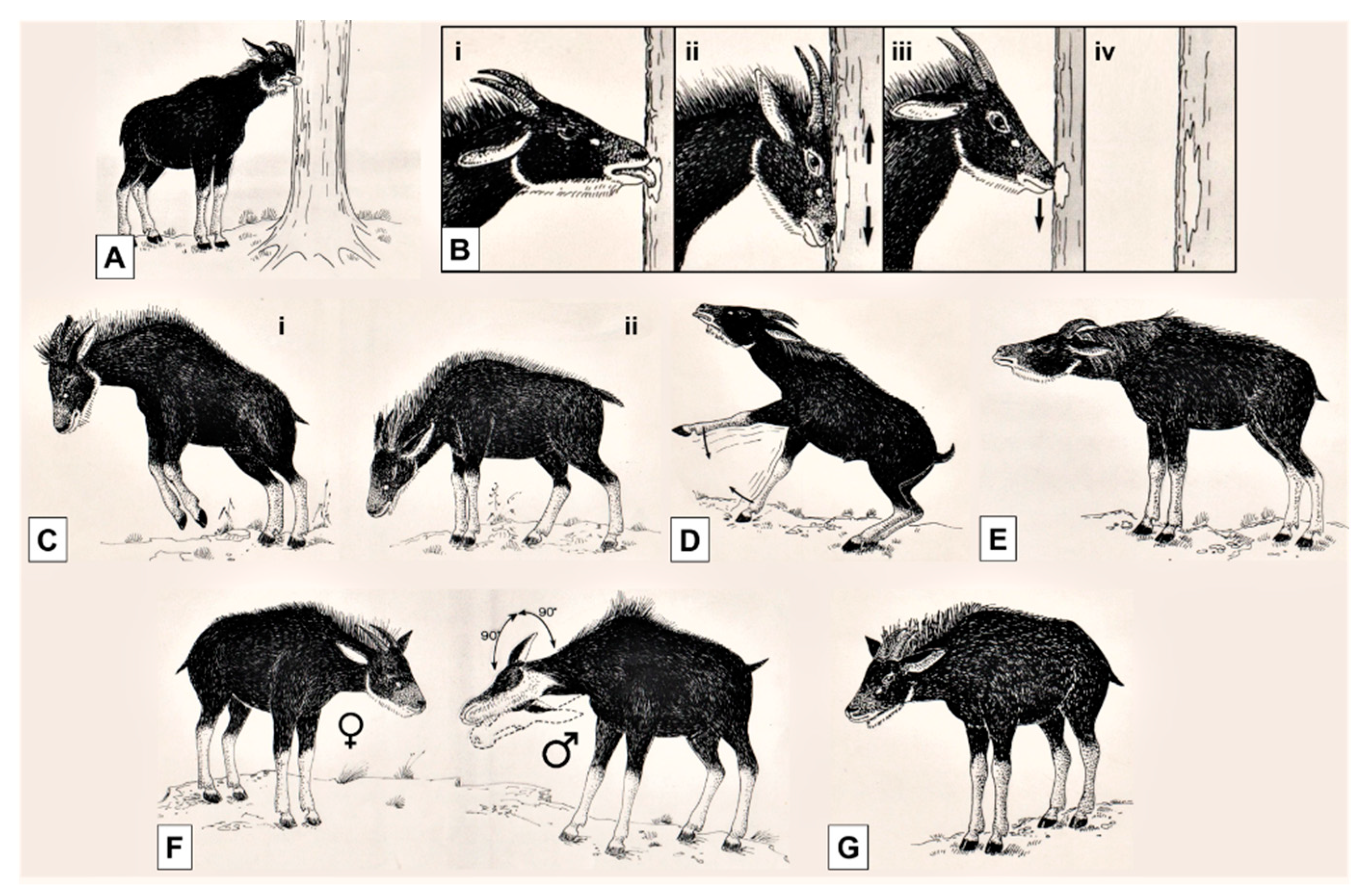 Animals 10 01669 g003 Animals 10 01669 g003