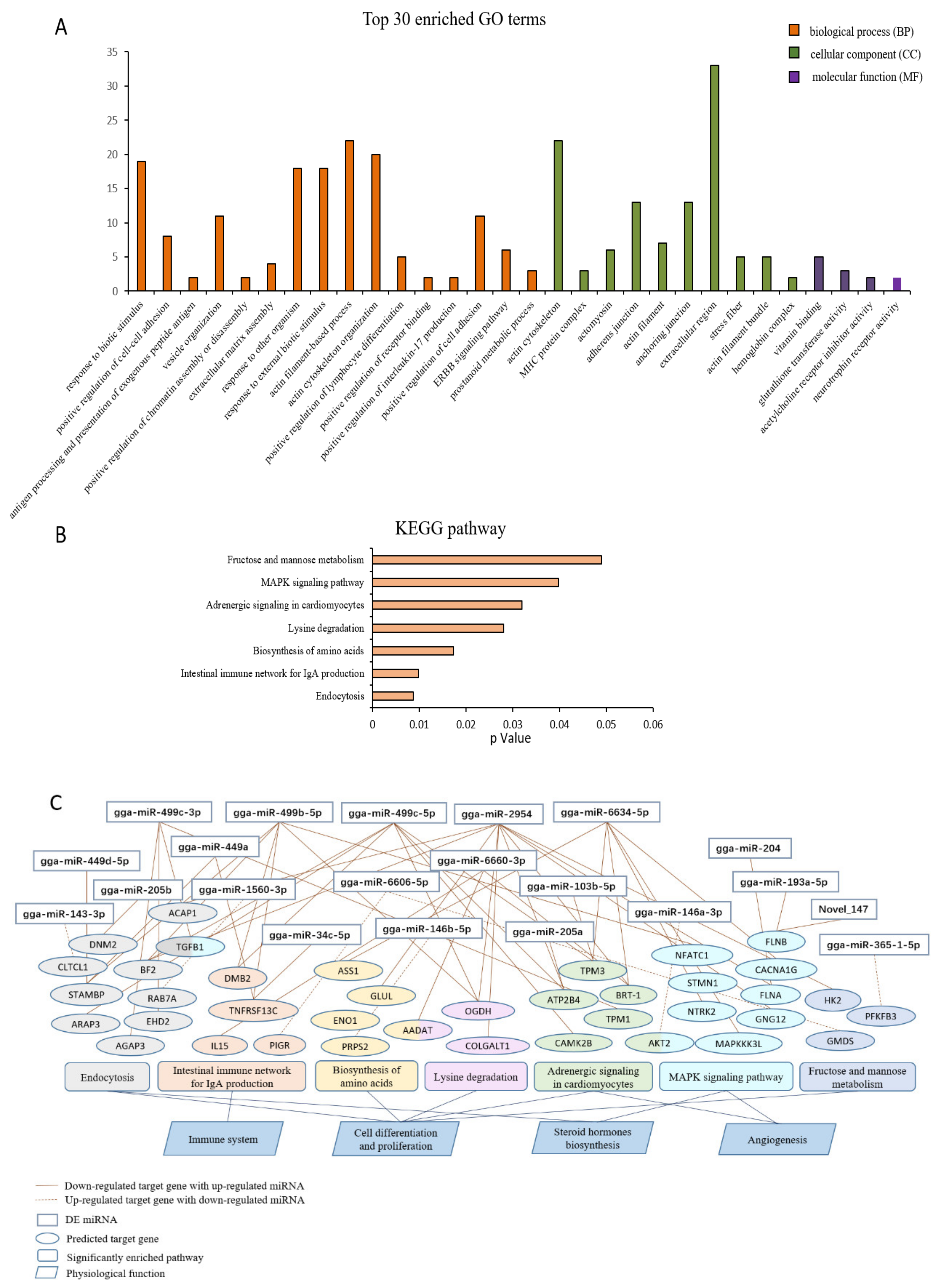 Animals 10 01680 g003
