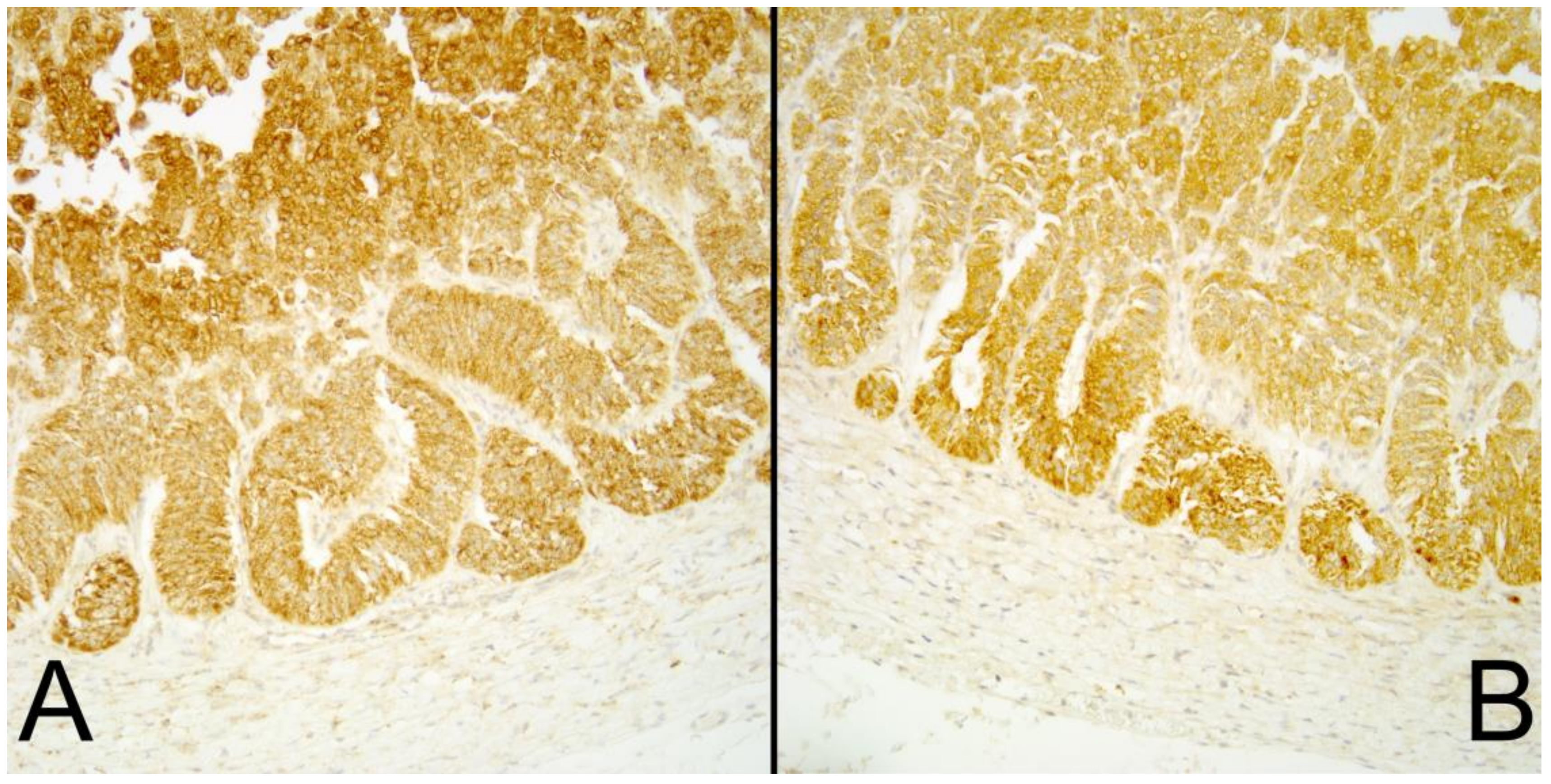 Animals 10 01683 g001 Animals 10 01683 g001