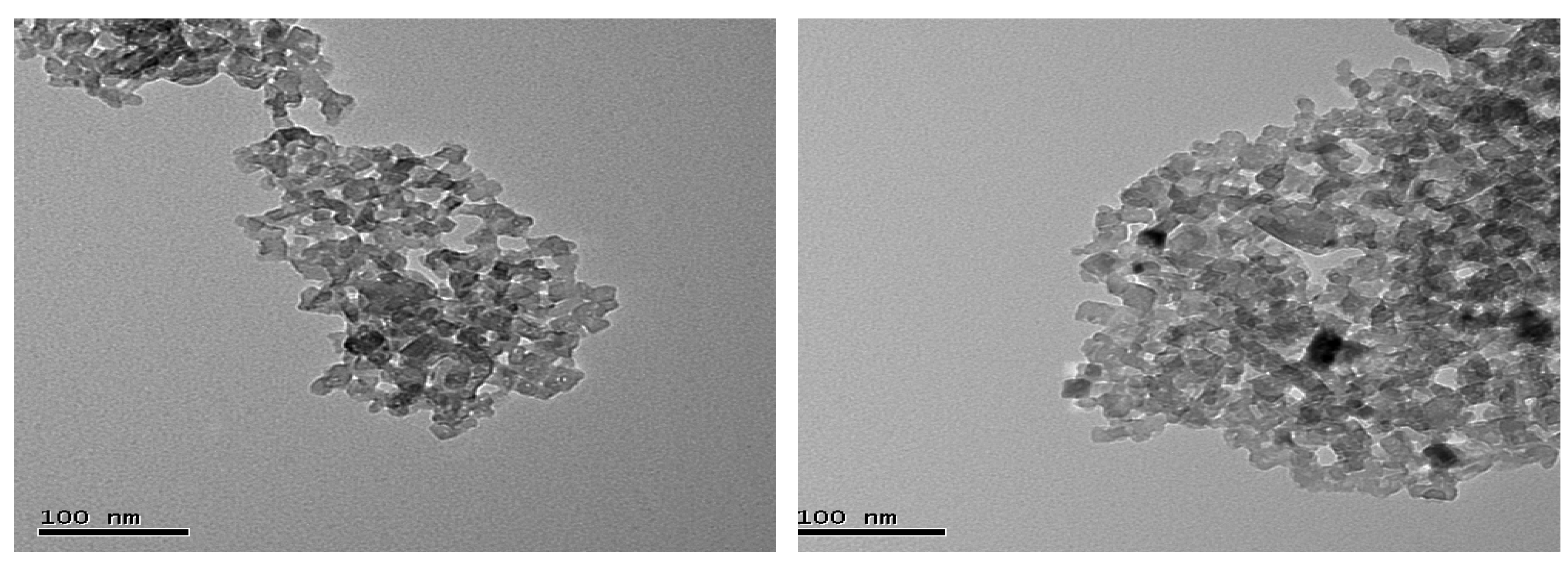 Animals 10 01685 g001