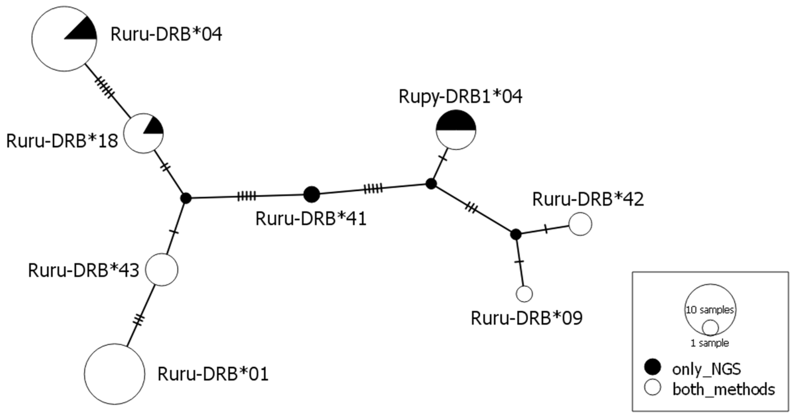 Animals 10 01694 g001