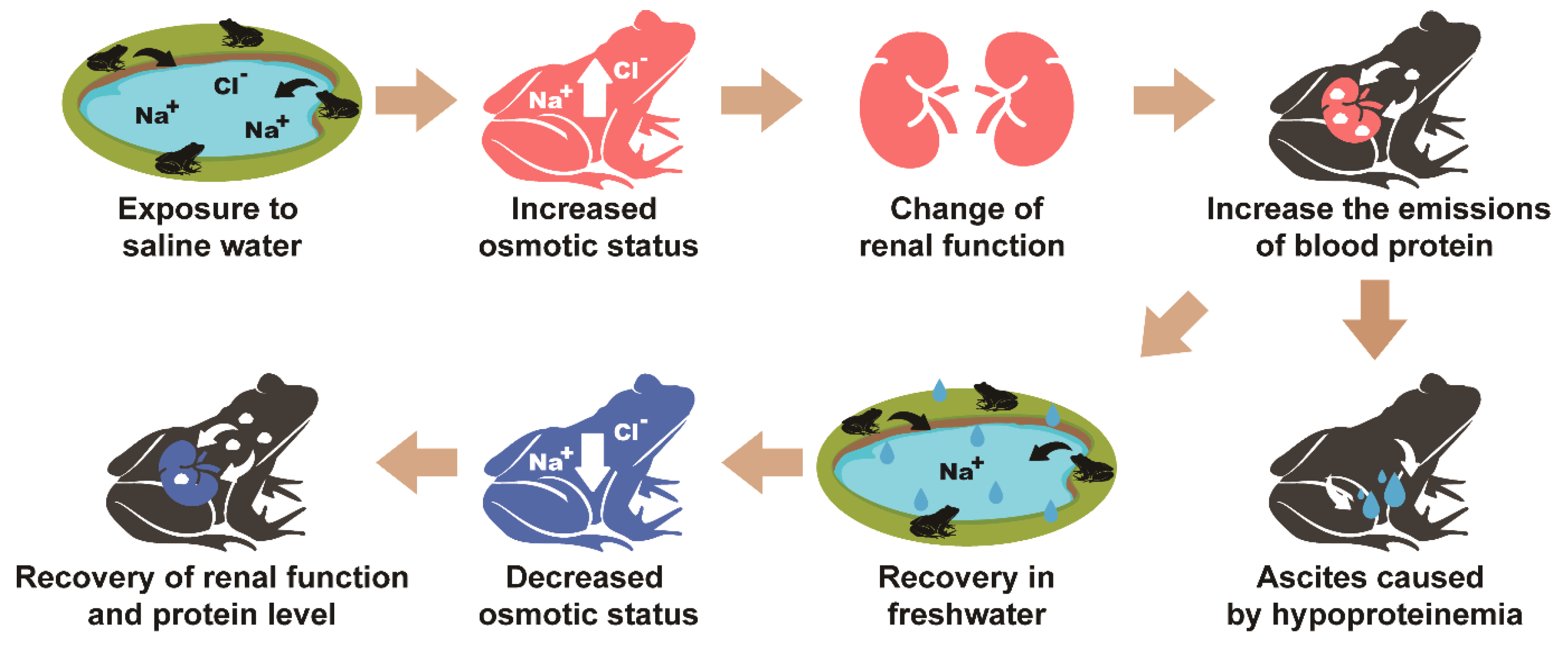 Animals 10 01698 g006 Animals 10 01698 g006