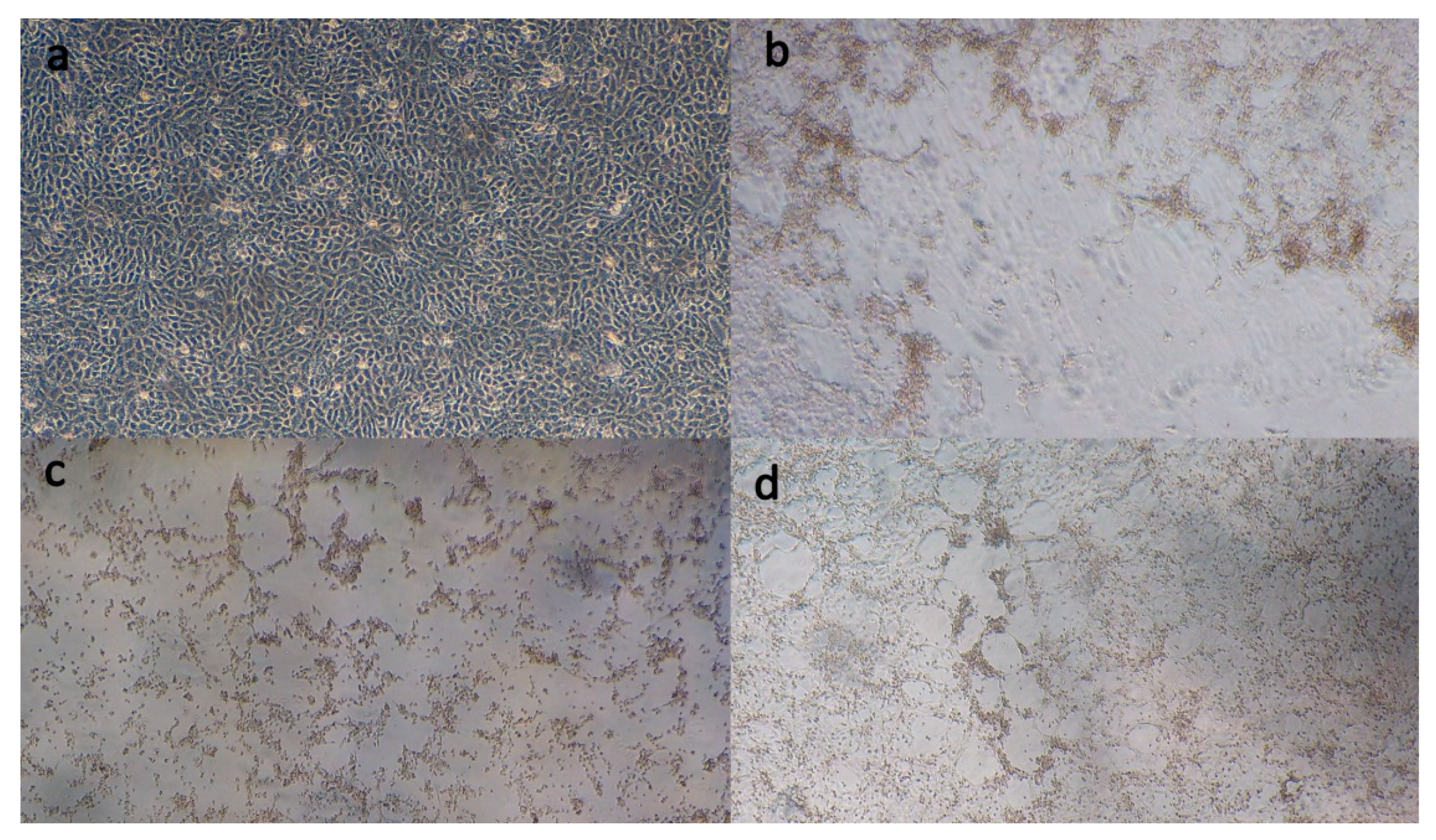 Animals 10 01700 g001 Animals 10 01700 g001