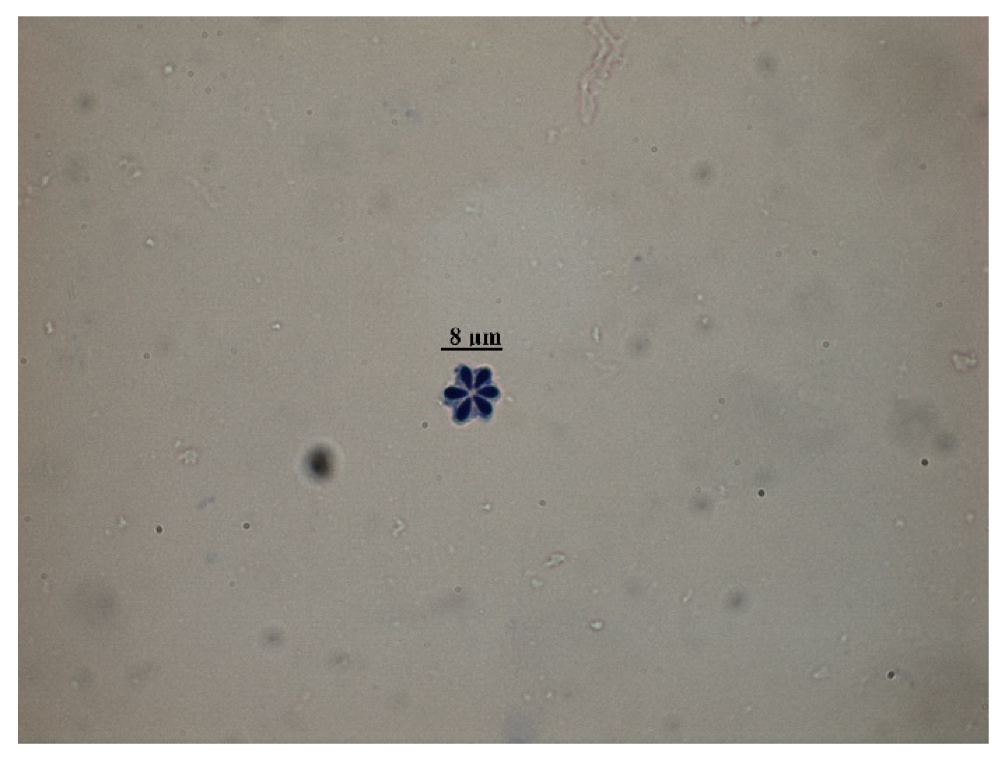 Animals 10 01705 g001 Animals 10 01705 g001