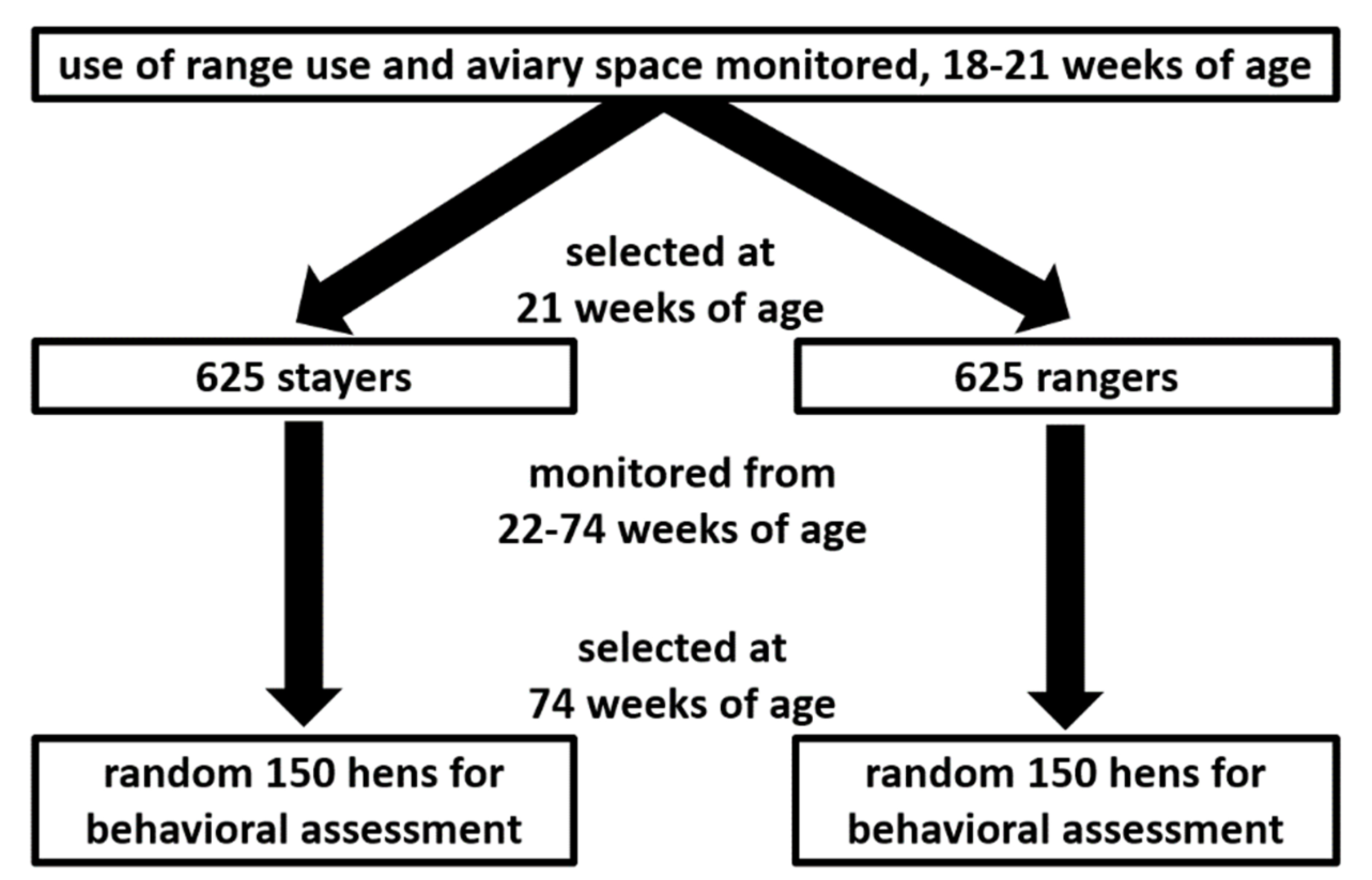 Animals 10 01706 g001