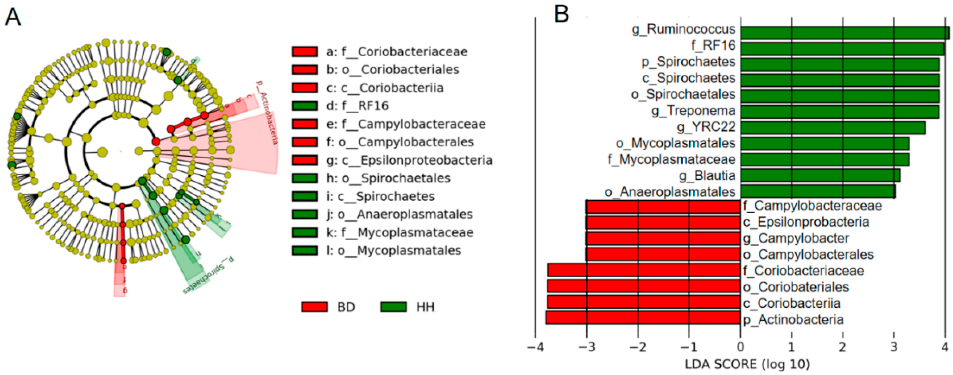 Animals 10 01712 g003