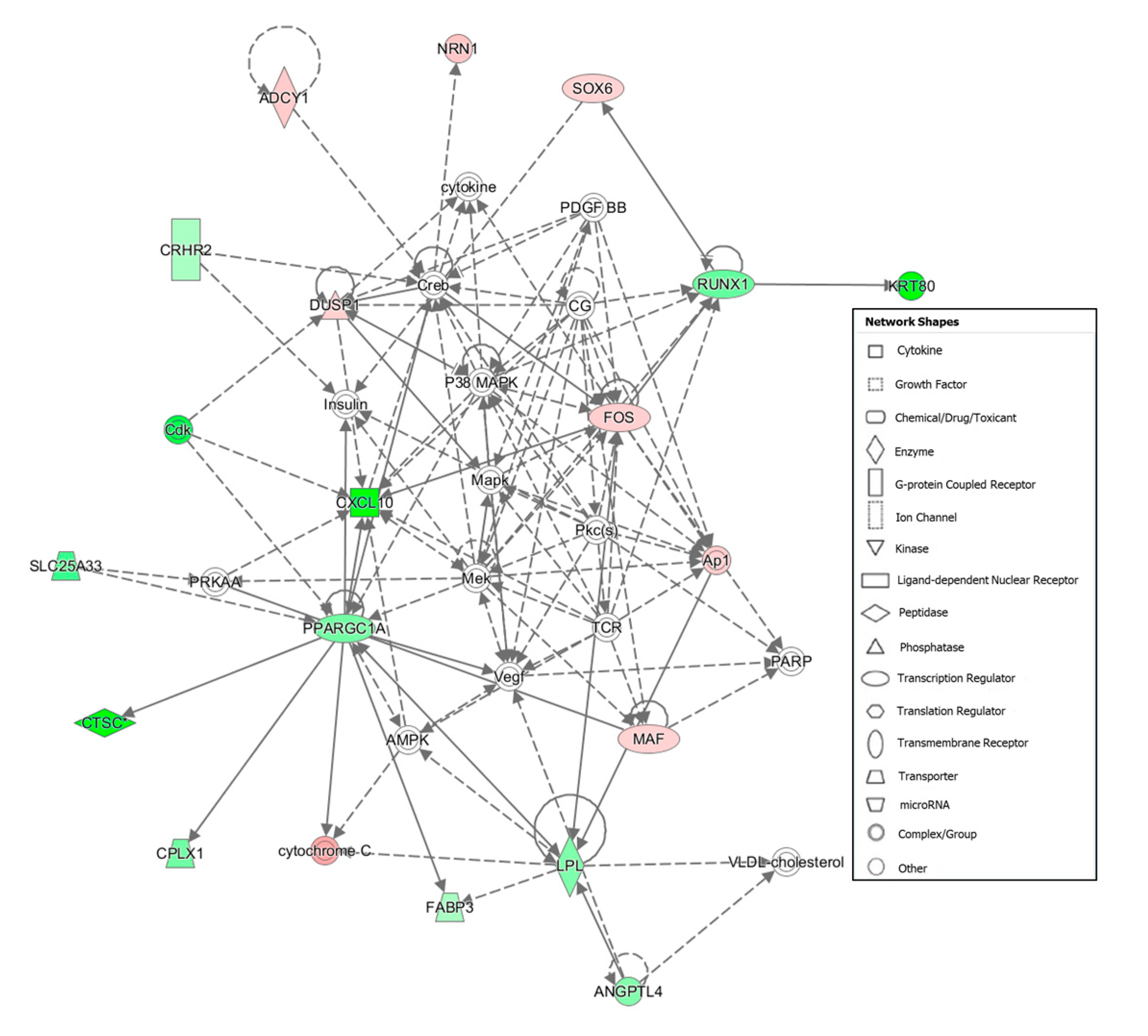 Animals 10 01715 g001 Animals 10 01715 g001