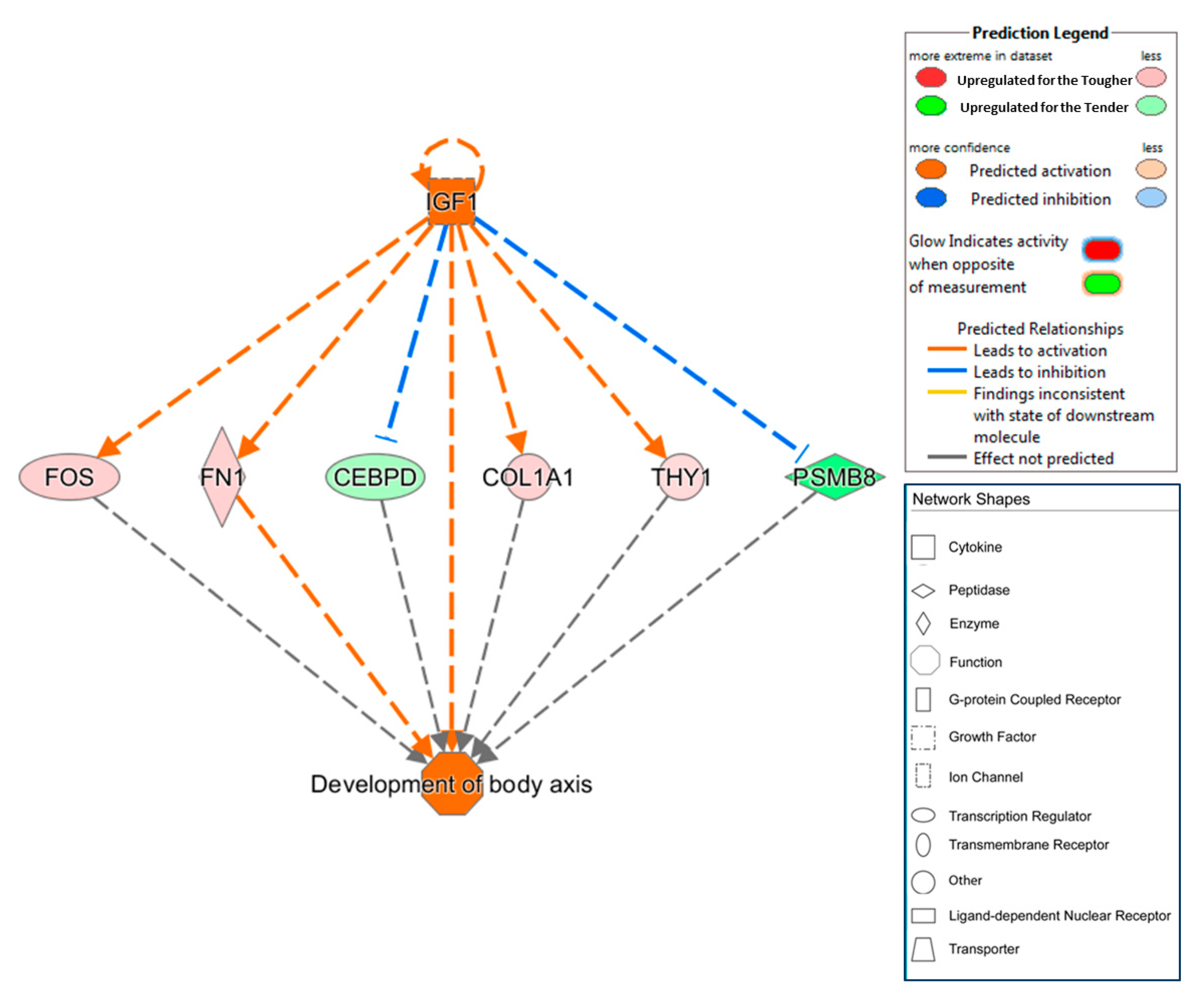 Animals 10 01715 g003 Animals 10 01715 g003