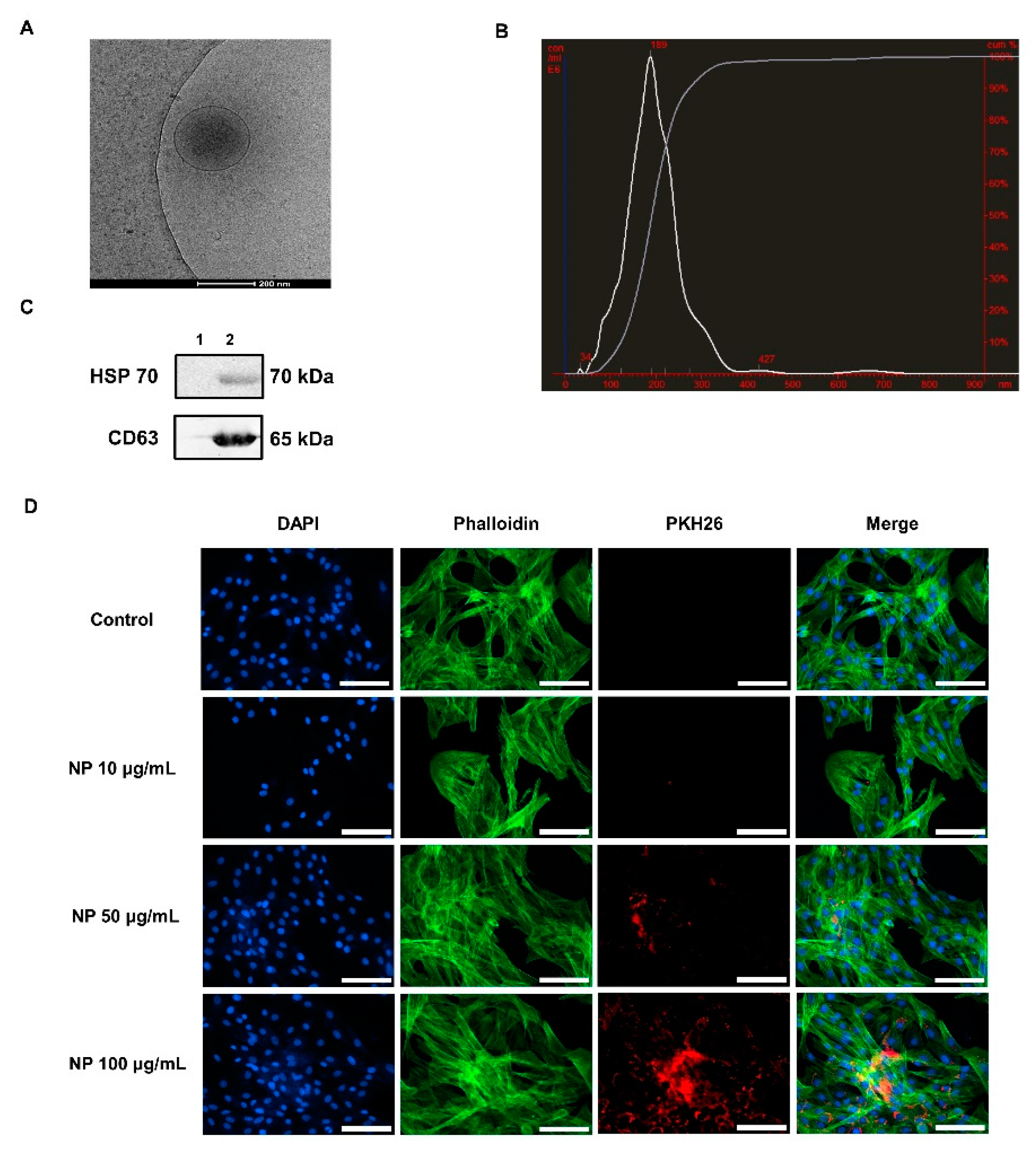 Animals 10 01723 g002