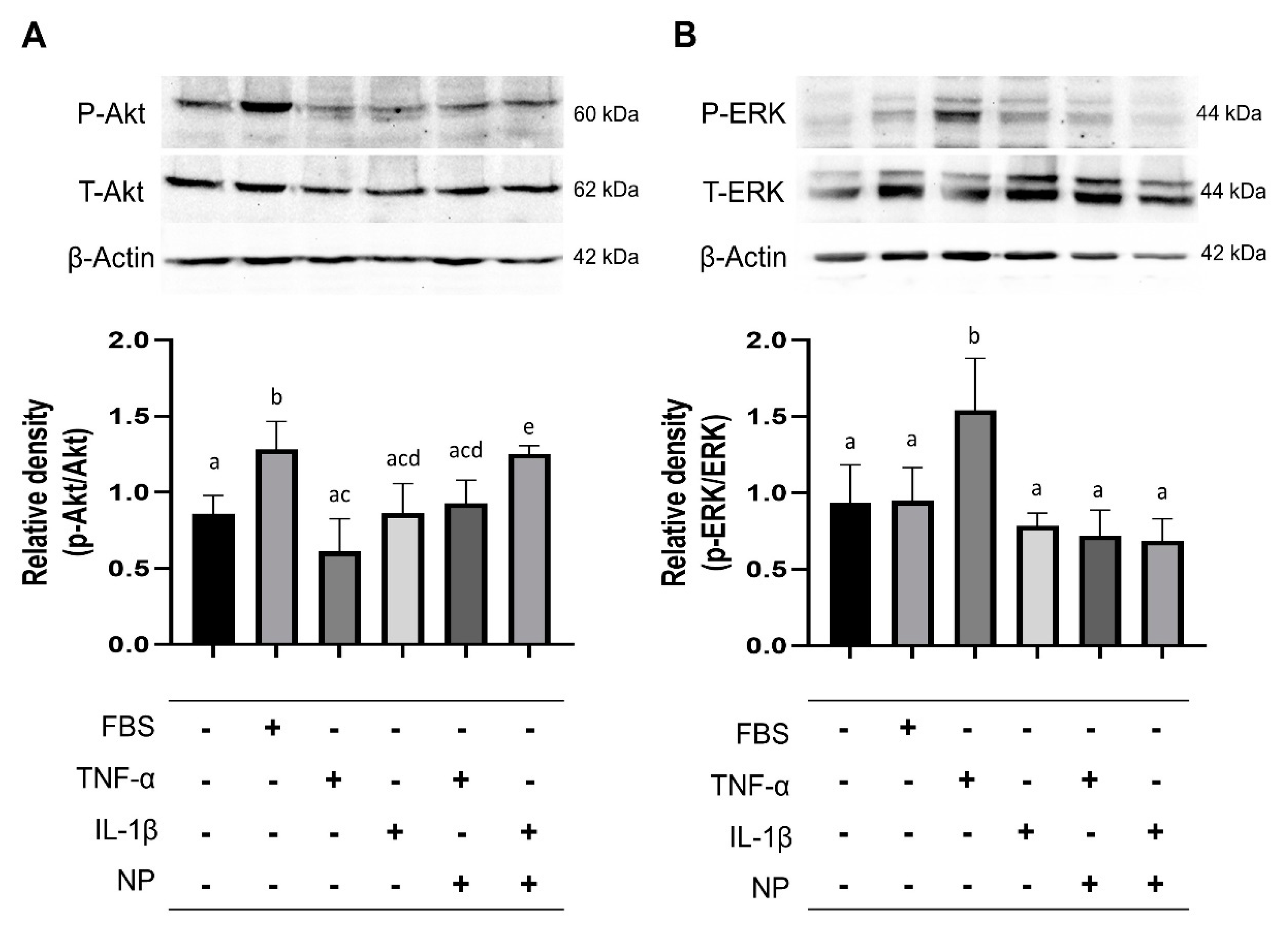 Animals 10 01723 g006