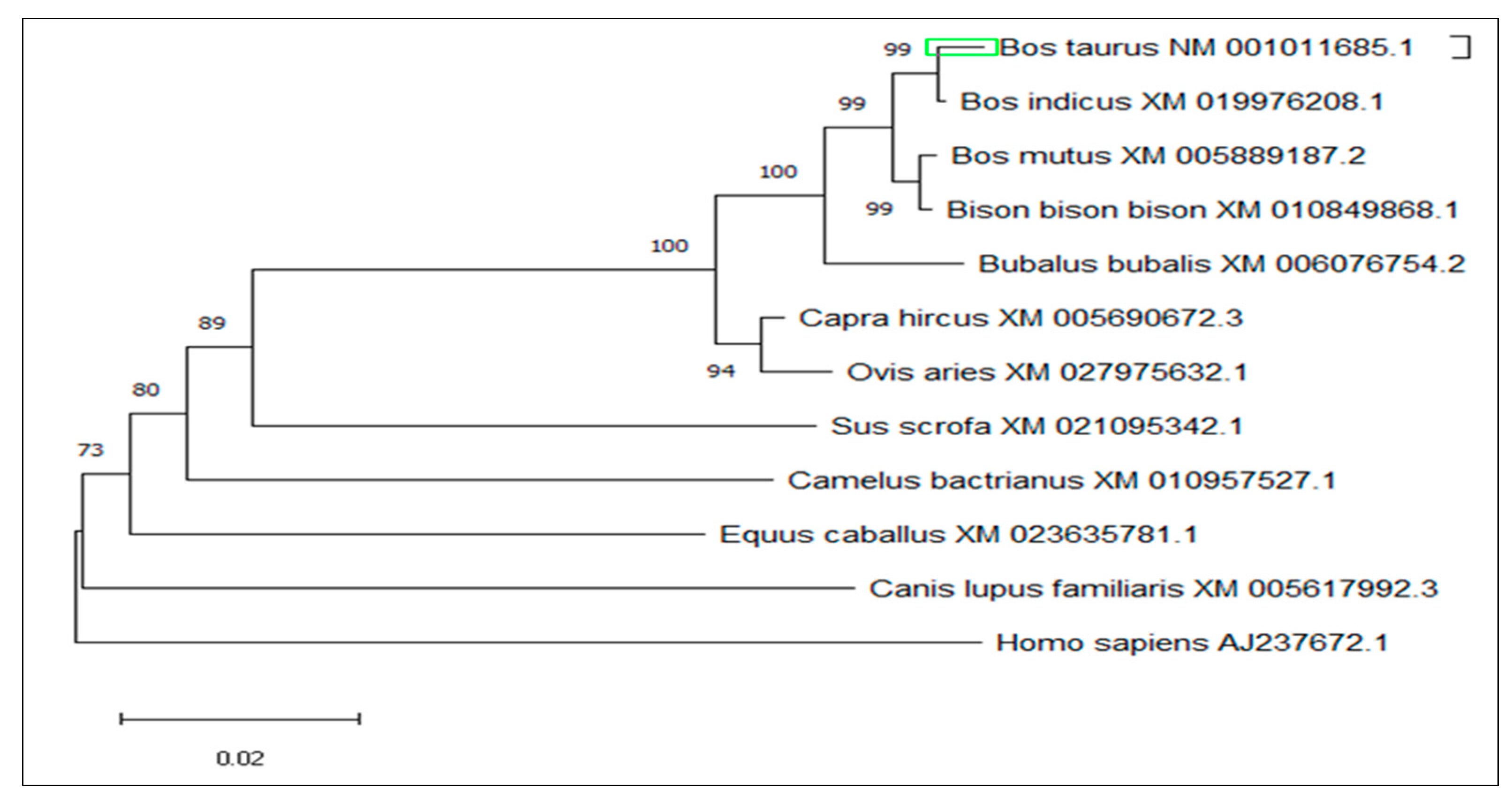 Animals 10 01731 g004