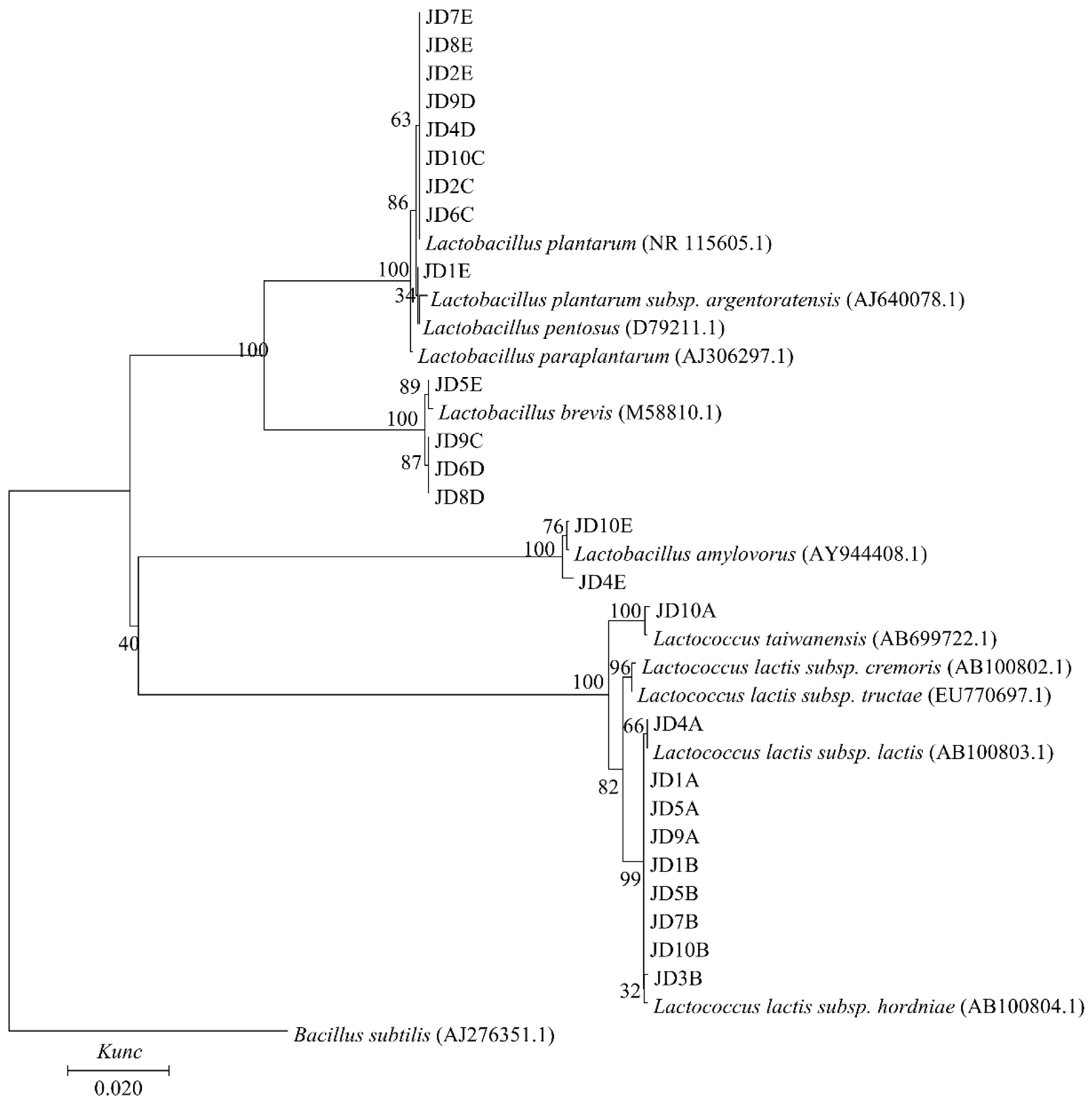 Animals 10 01733 g001