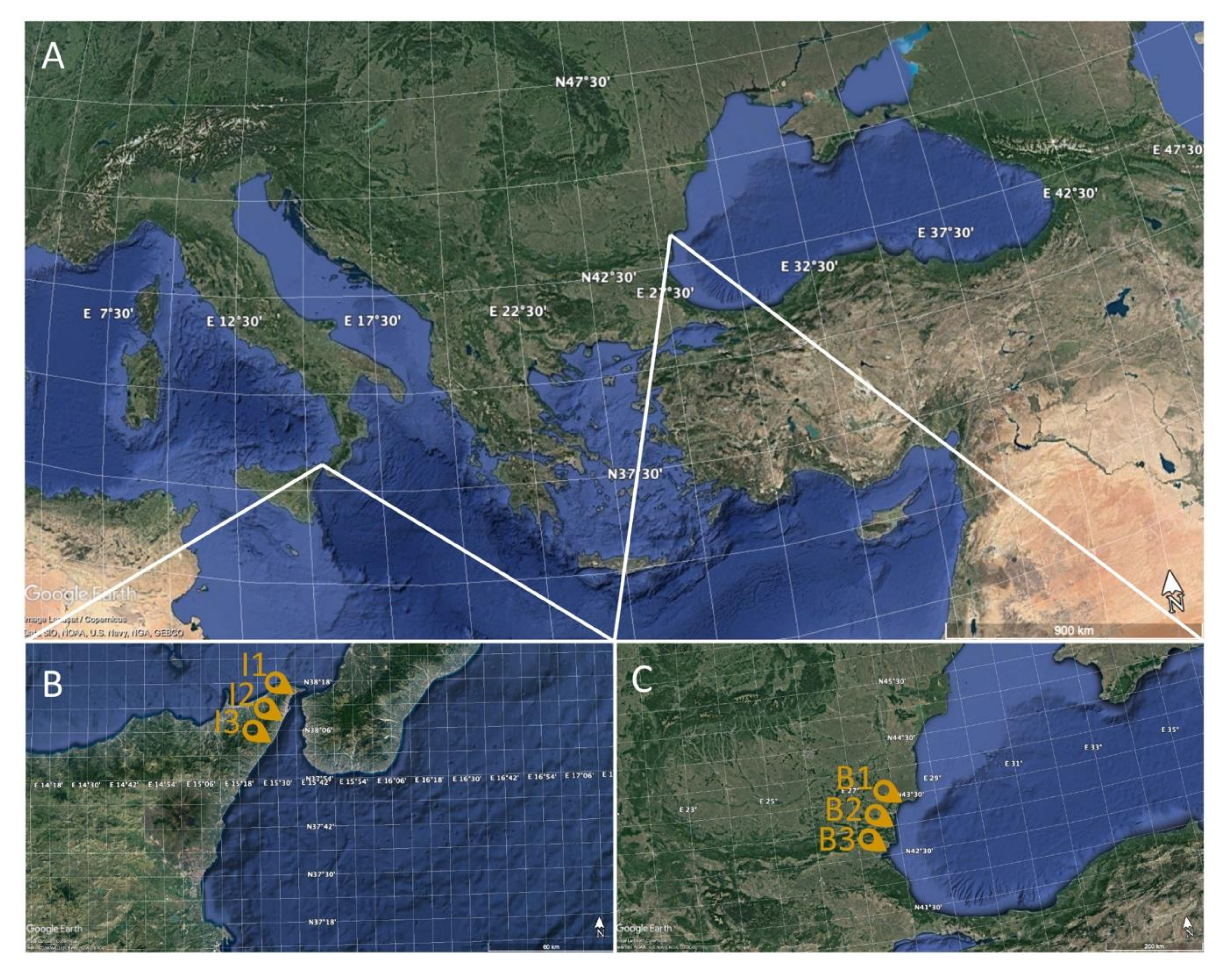 Animals 10 01739 g001 Animals 10 01739 g001