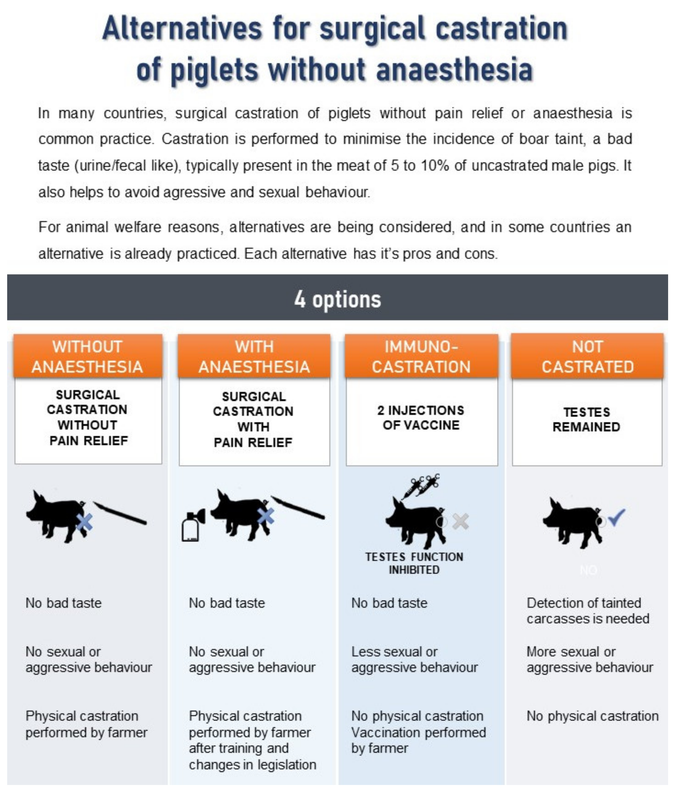 Animals 10 01758 g002