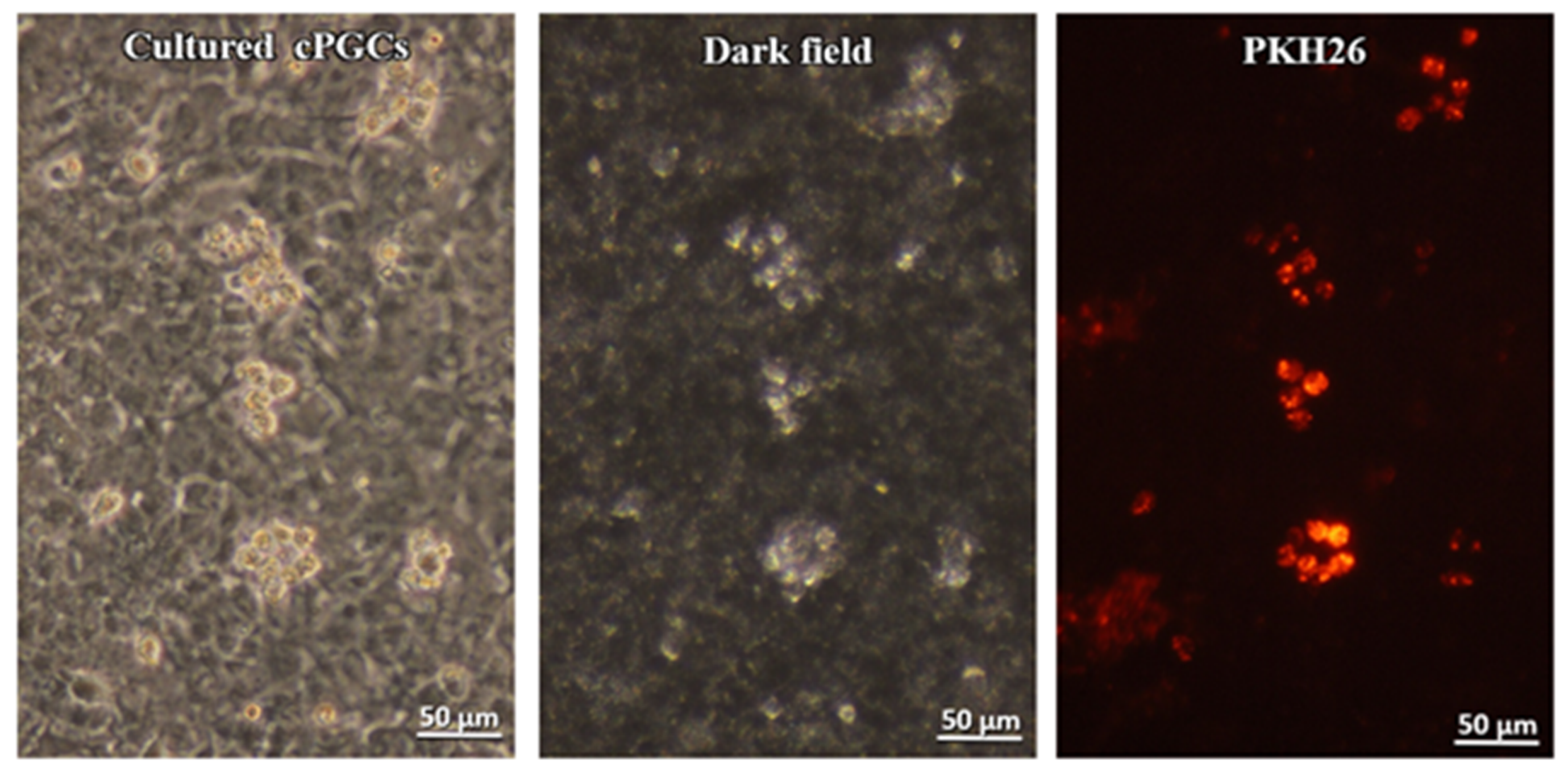 Animals 10 01769 g003