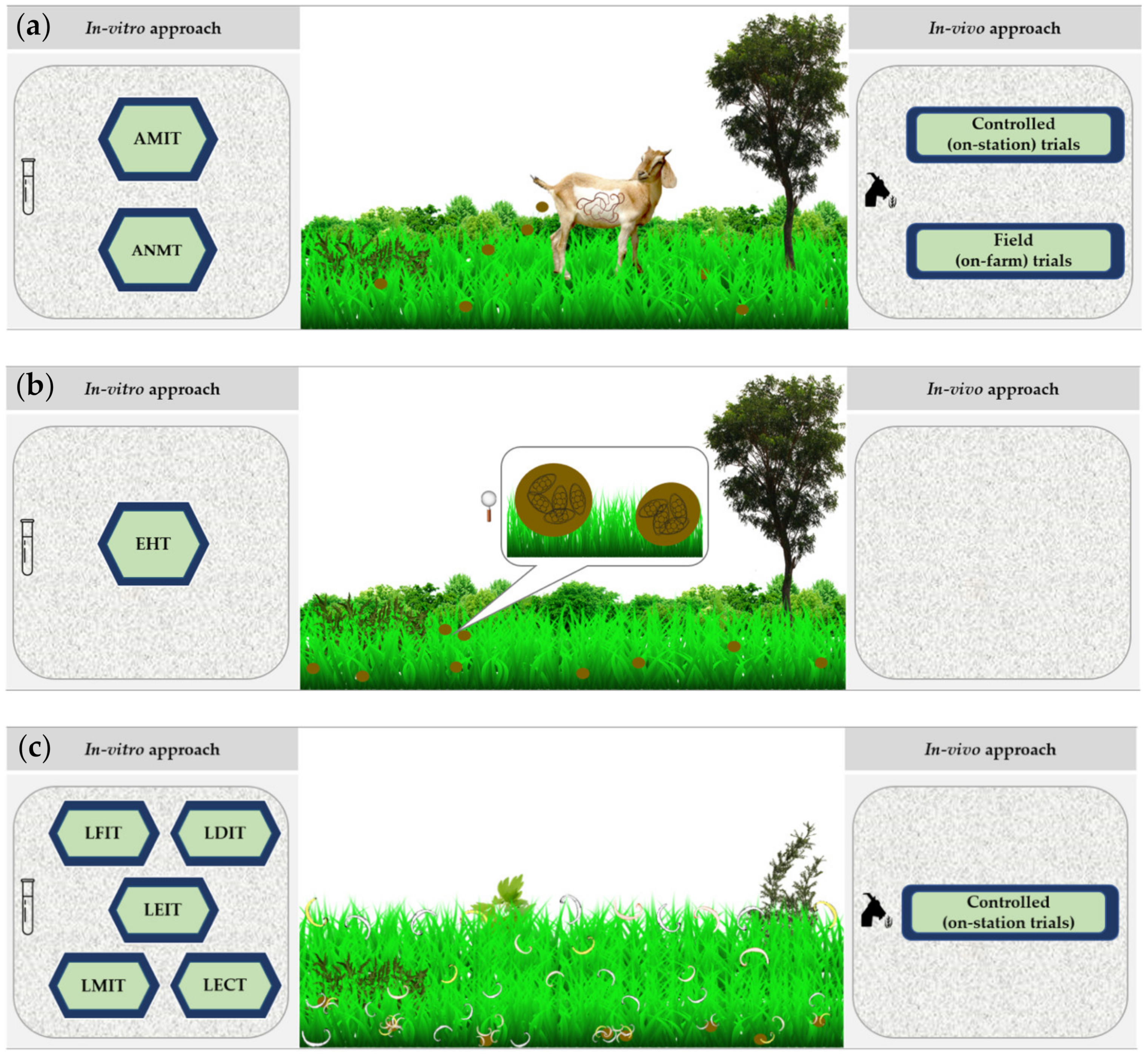 Animals Free Full Text Small Ruminant Production Based On Rangelands To Optimize Animal Nutrition And Health Building An Interdisciplinary Approach To Evaluate Nutraceutical Plants Html