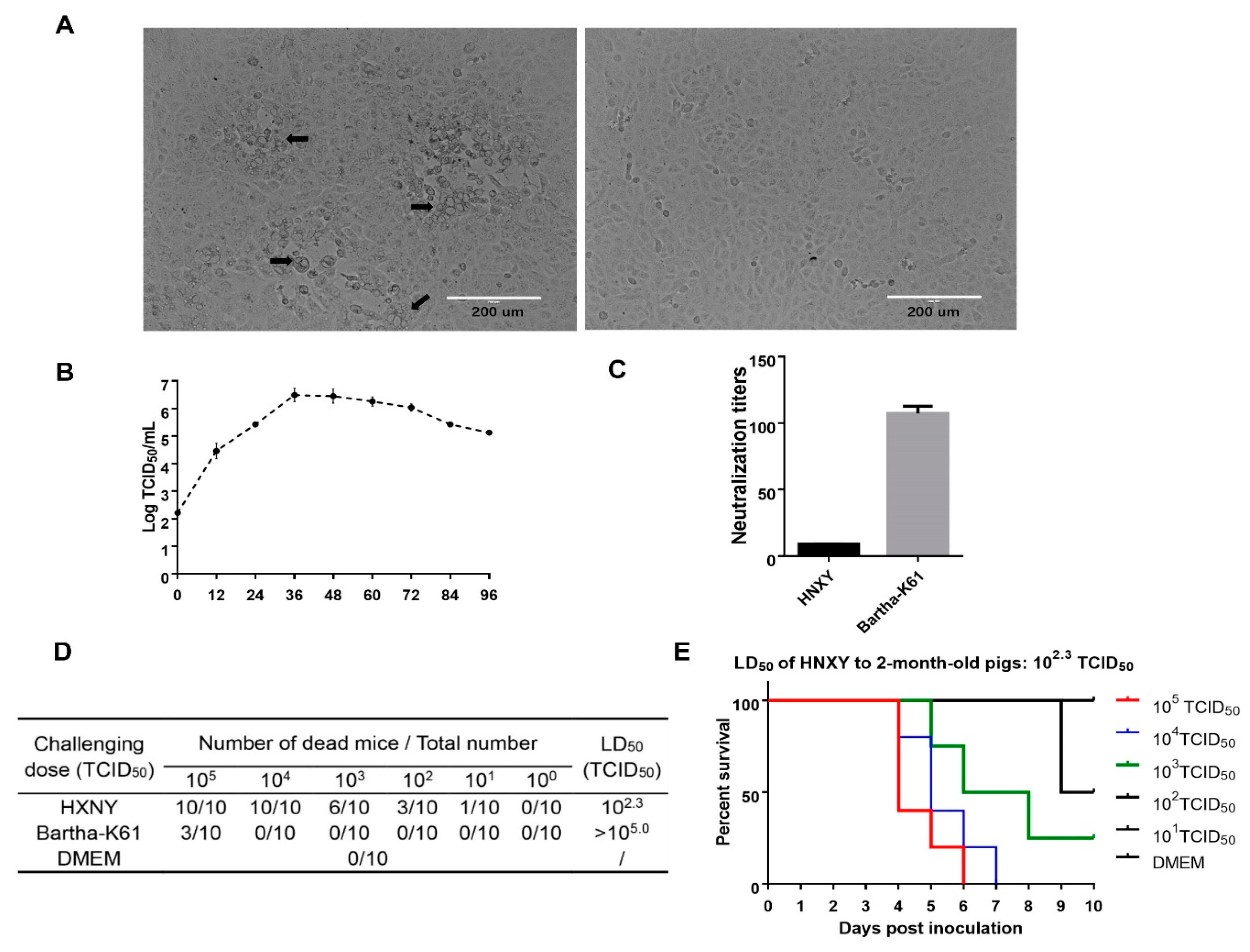 Animals 10 01804 g001 Animals 10 01804 g001