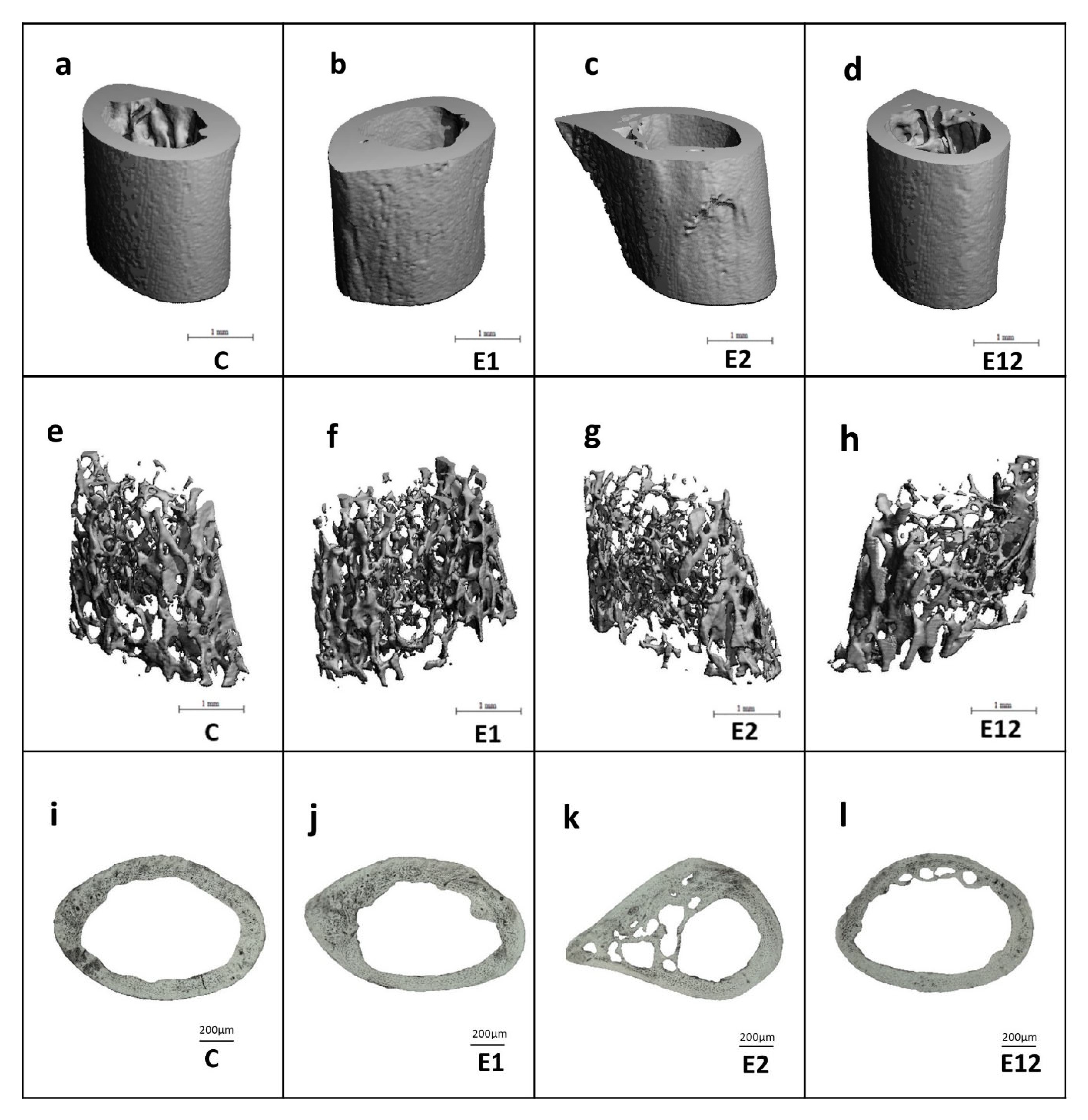 Animals 10 01835 g004 Animals 10 01835 g004