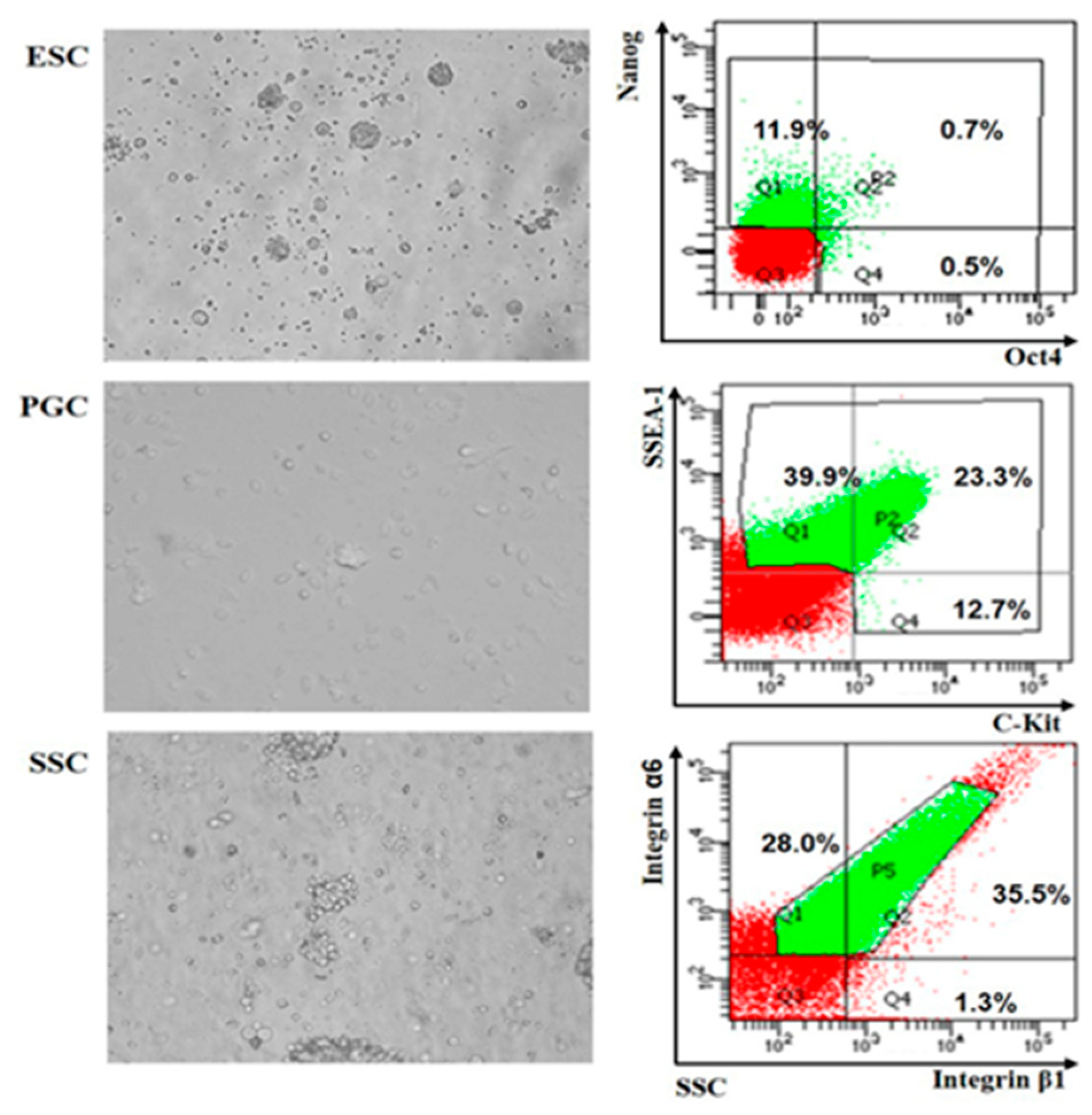 Animals 10 01850 g001