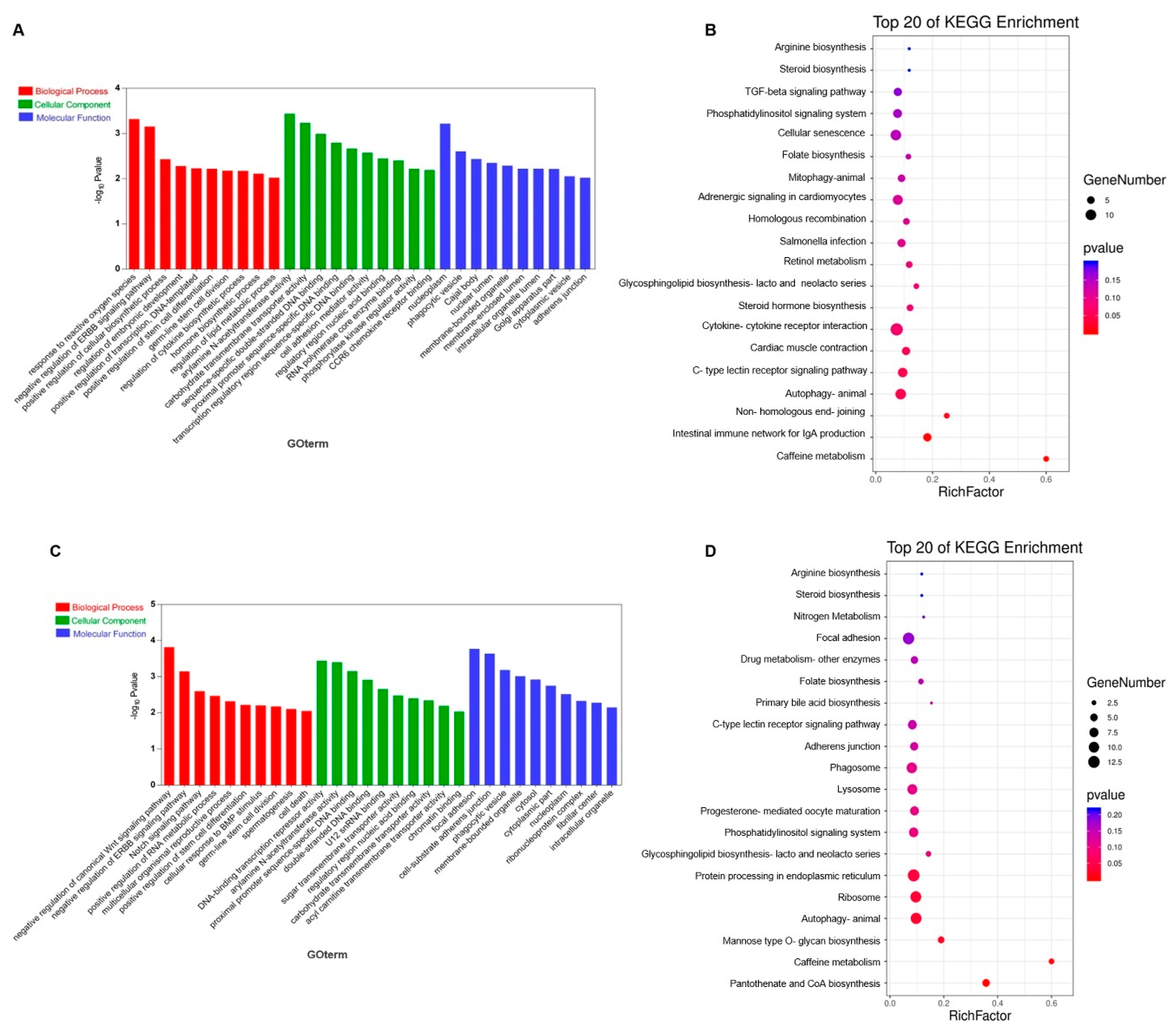Animals 10 01850 g004a