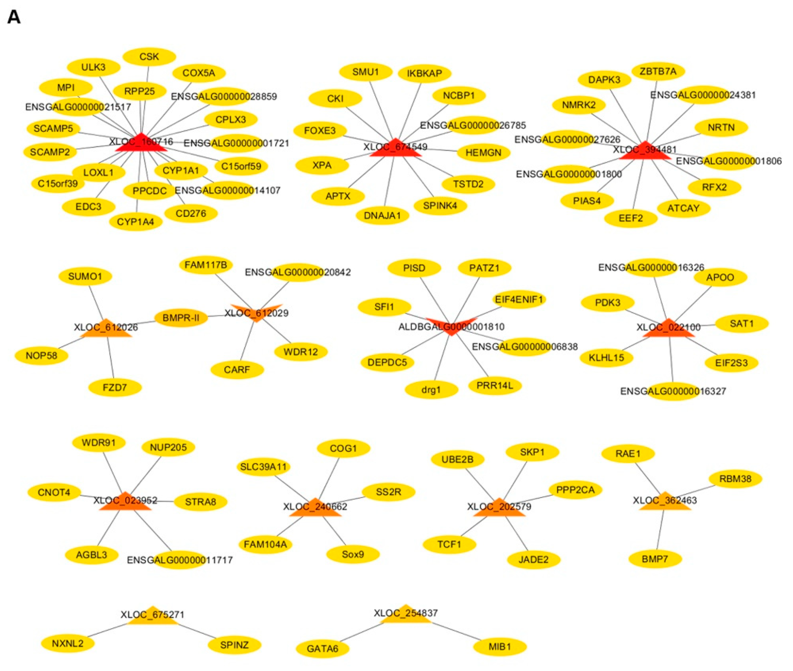 Animals 10 01850 g005a