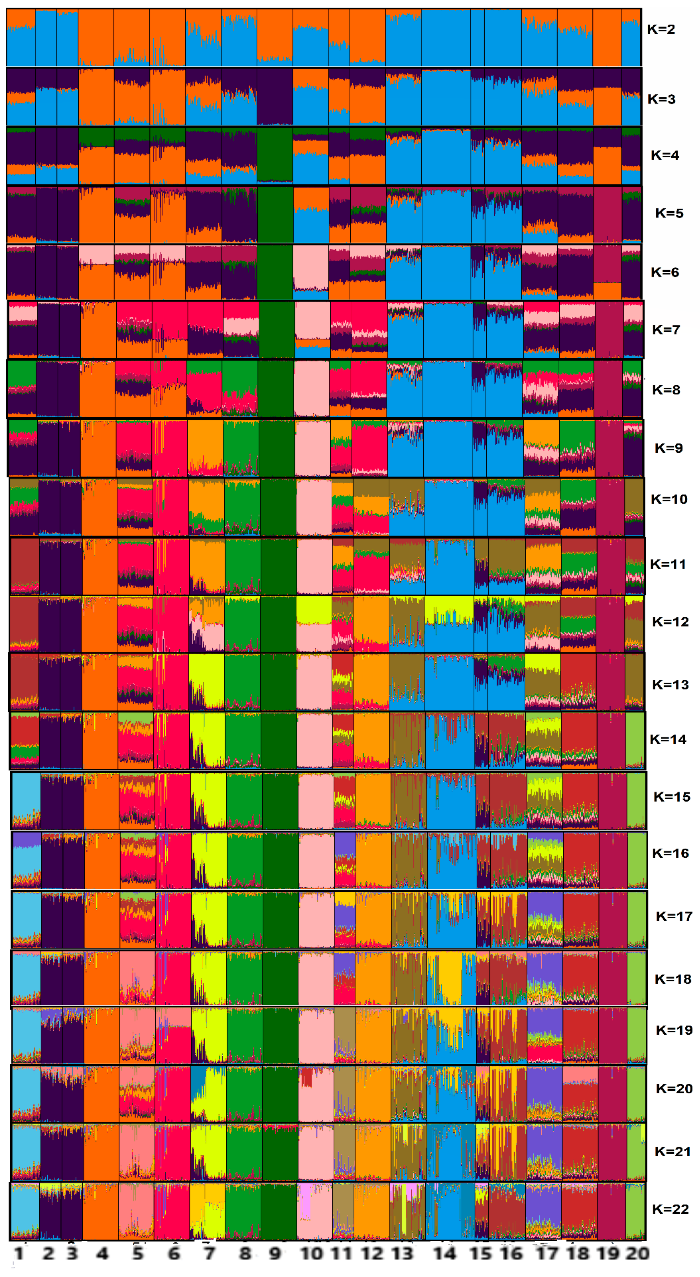 Animals 10 01857 g005 Animals 10 01857 g005