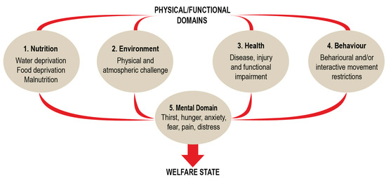 The five experimental positions used in the move-choice task