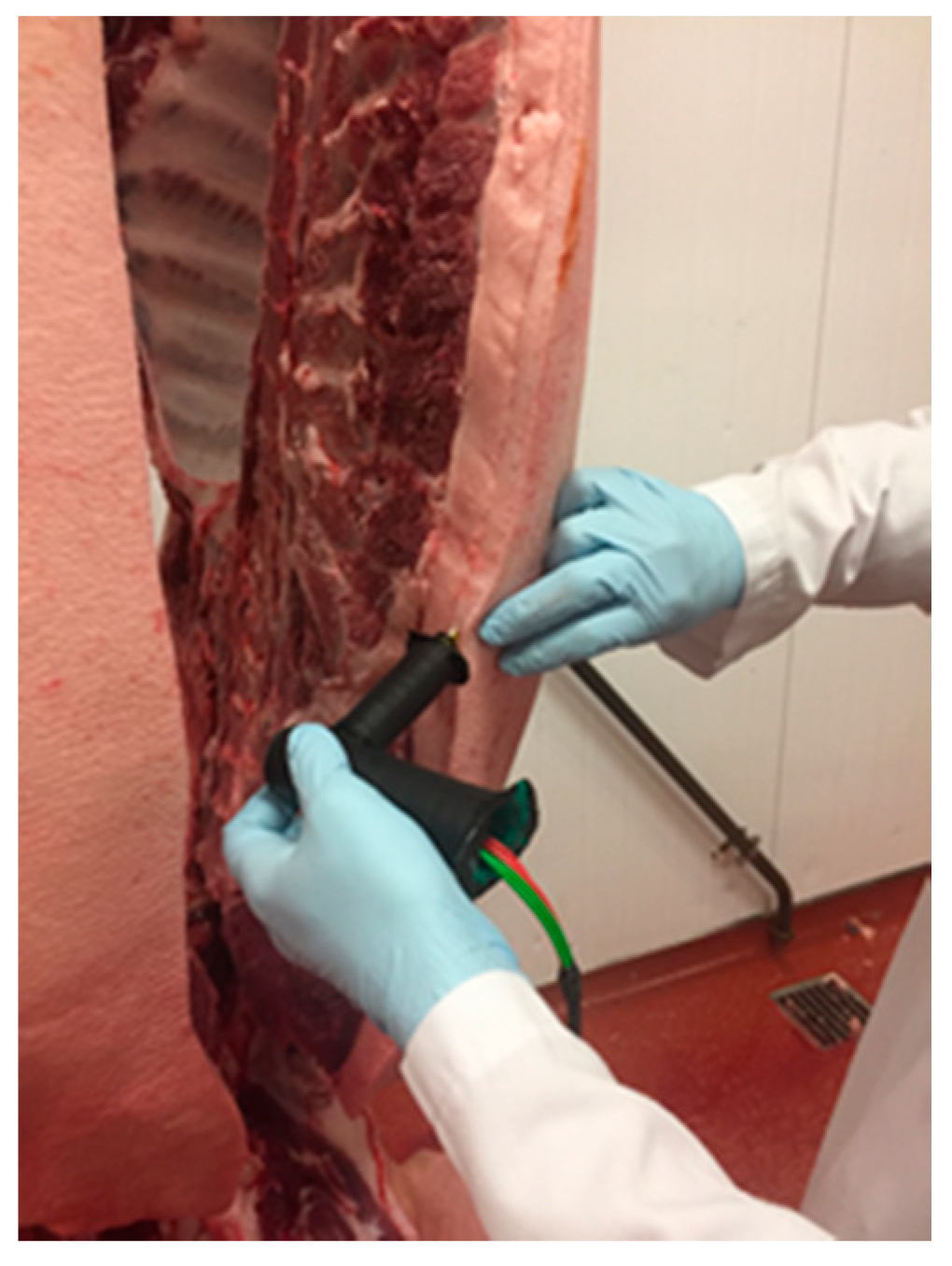 Animals 10 01886 g004